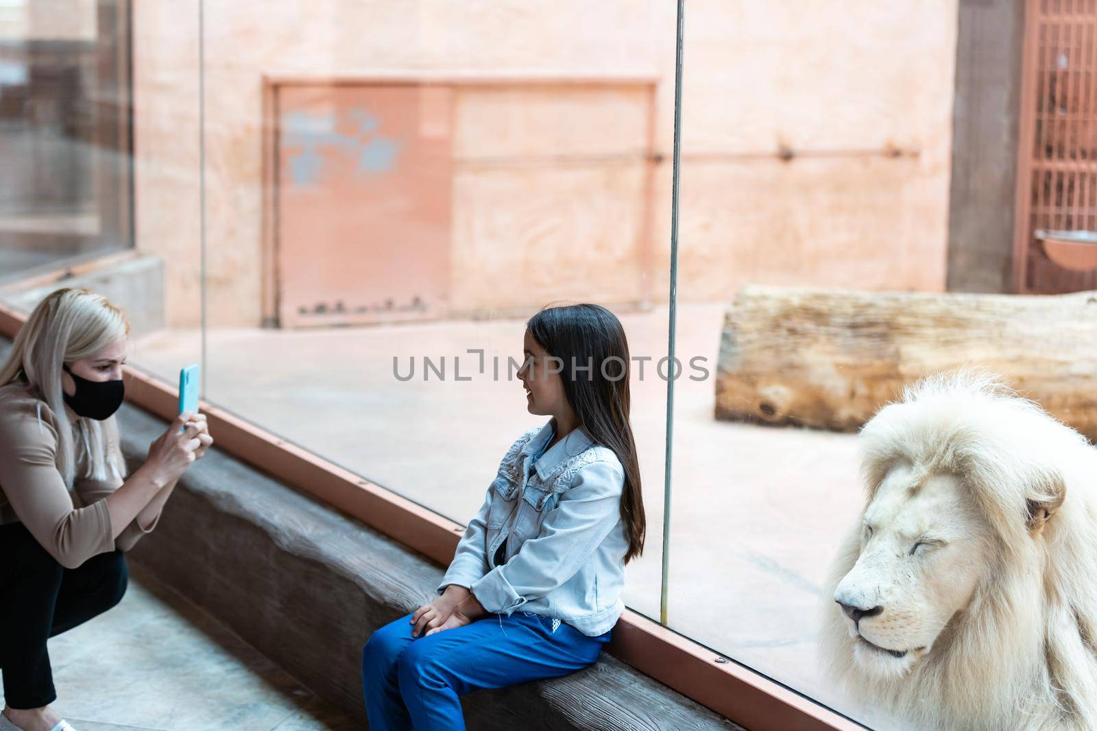 Little Girl Watching Through the Glass at White Lion in Zoo. Activity Learning for Kid. by Andelov13