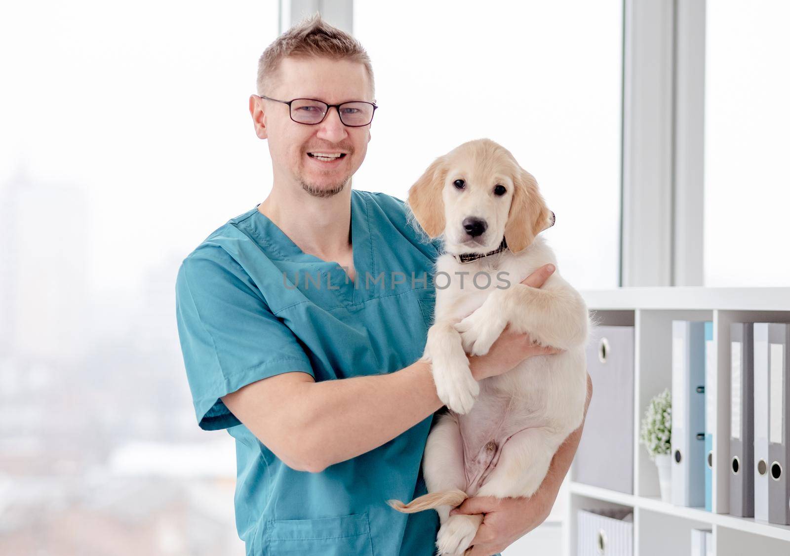 Handsome vet holding healthy young dog in clinic