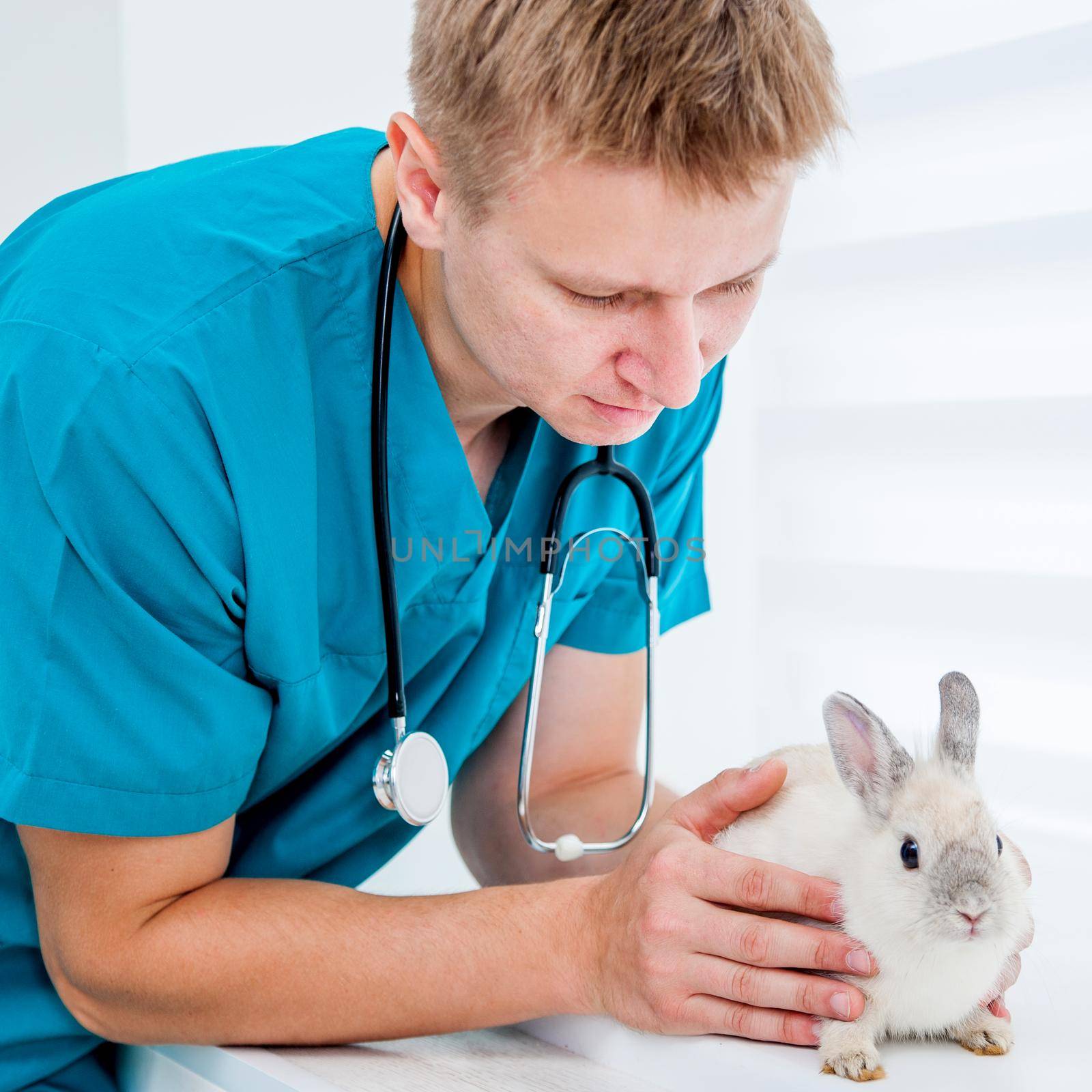 doctor veterenarii in the green uniform with a rabbit