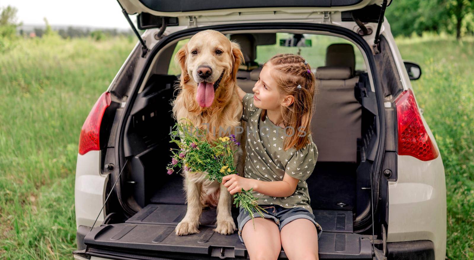 Preteen girl with golden retriever dog in the car by tan4ikk1