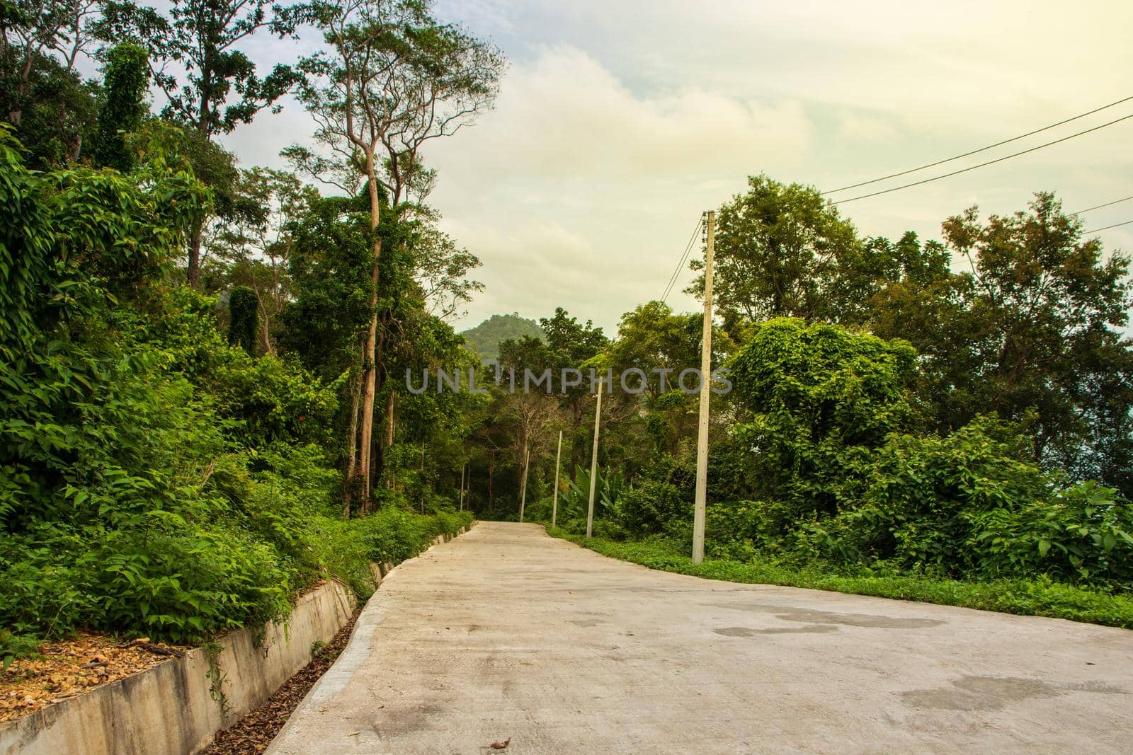 Scenic nature trails, woodland