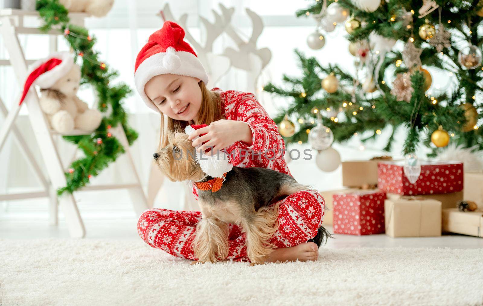 Child girl petting dog wearing Santa hat at home in Christmas time. Female kid with doggy pet in New Year time