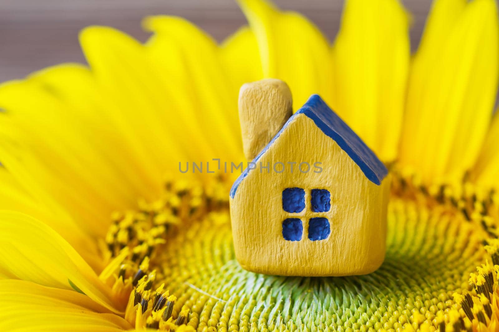 Miniature yellow toy house on the sunflower. Selective focus by marketlan