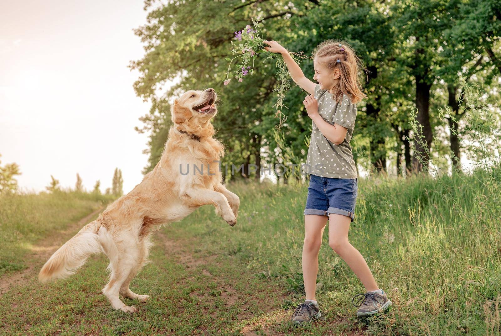 Preteen girl with golden retriever outdoors by tan4ikk1