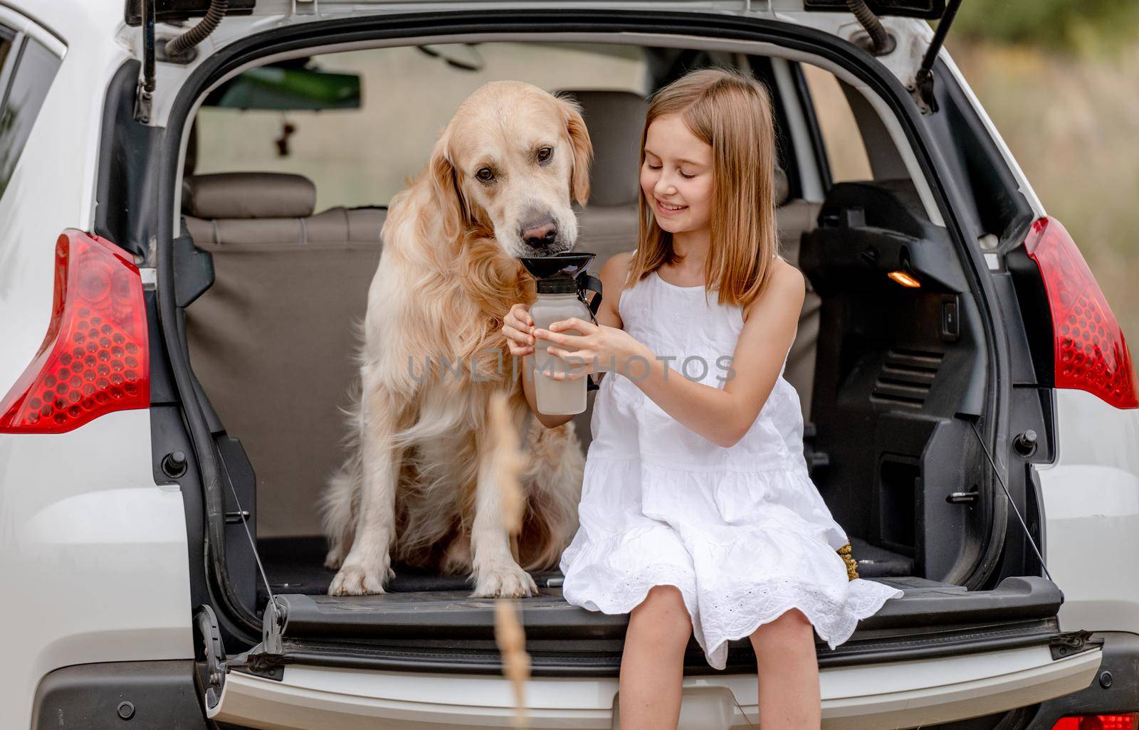 Preteen girl with golden retriever dog in car trunk by tan4ikk1