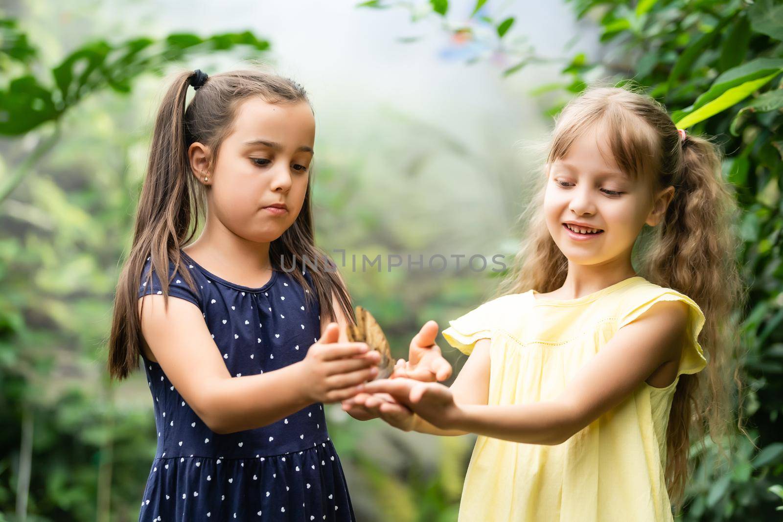 Two little sisters holding a butterfly in their hands. Children exploring nature. Family leisure with kids at summer.