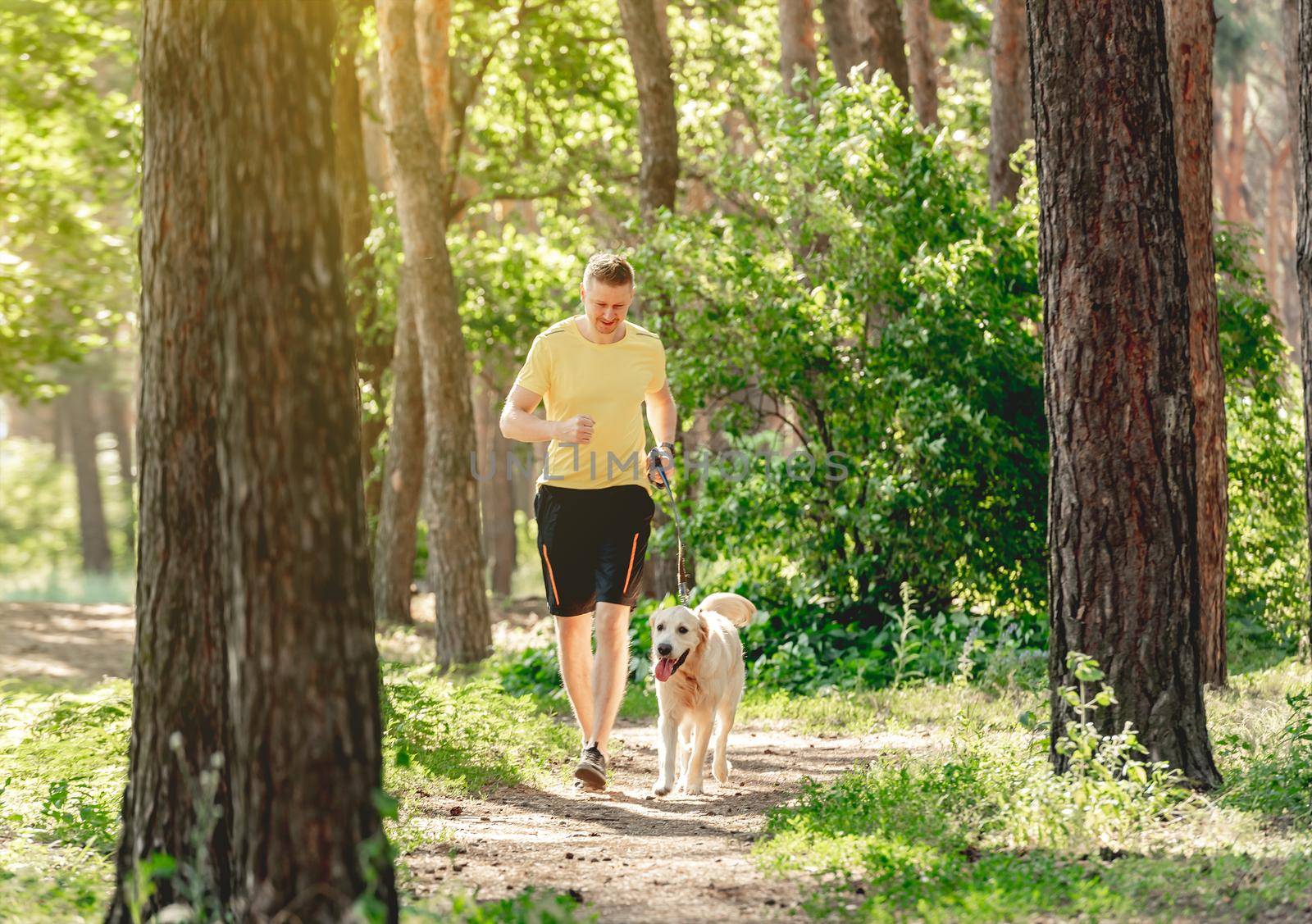 Handsome man jogging with golden retriever dog in pine wood