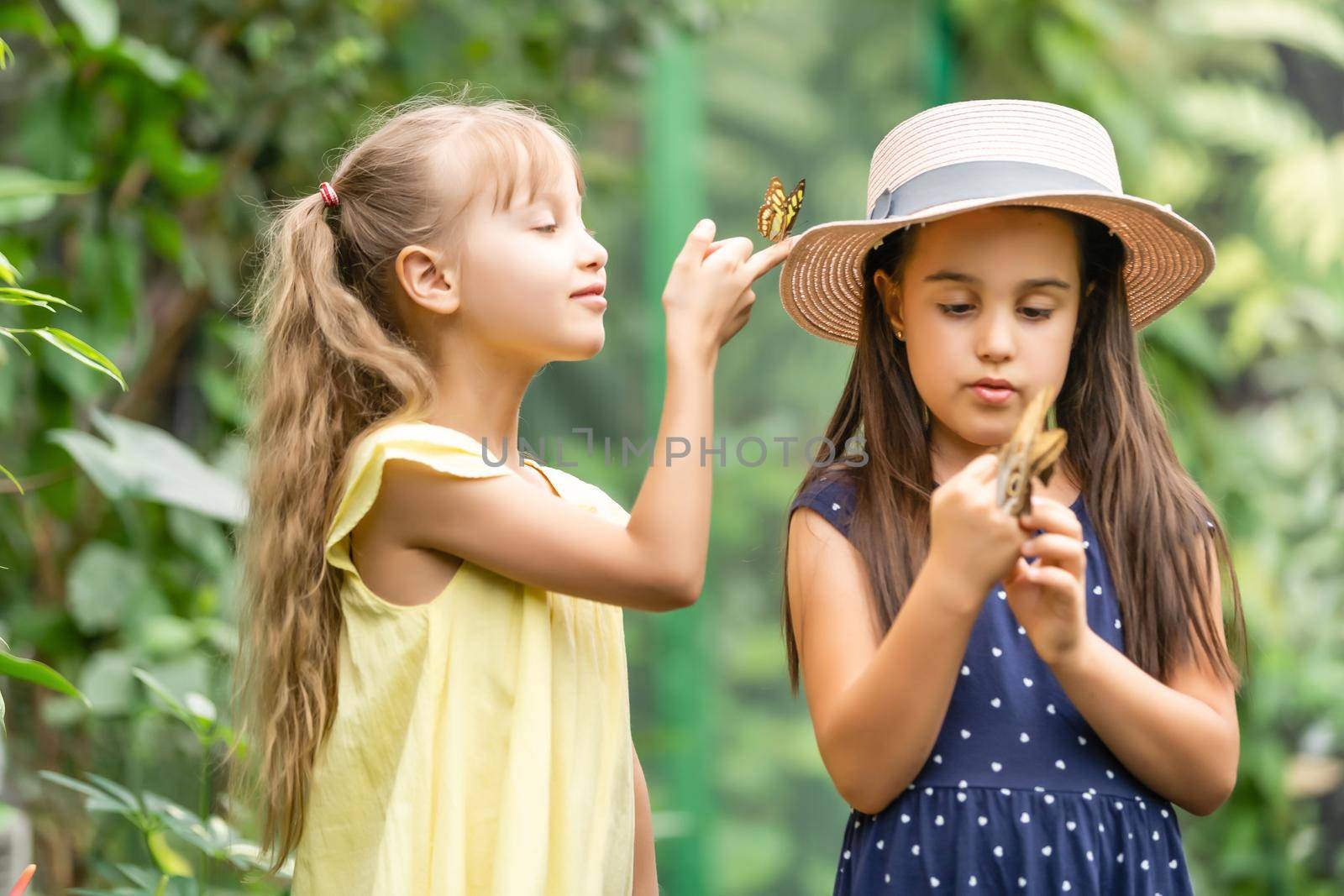 Two little sisters holding a butterfly in their hands. Children exploring nature. Family leisure with kids at summer.