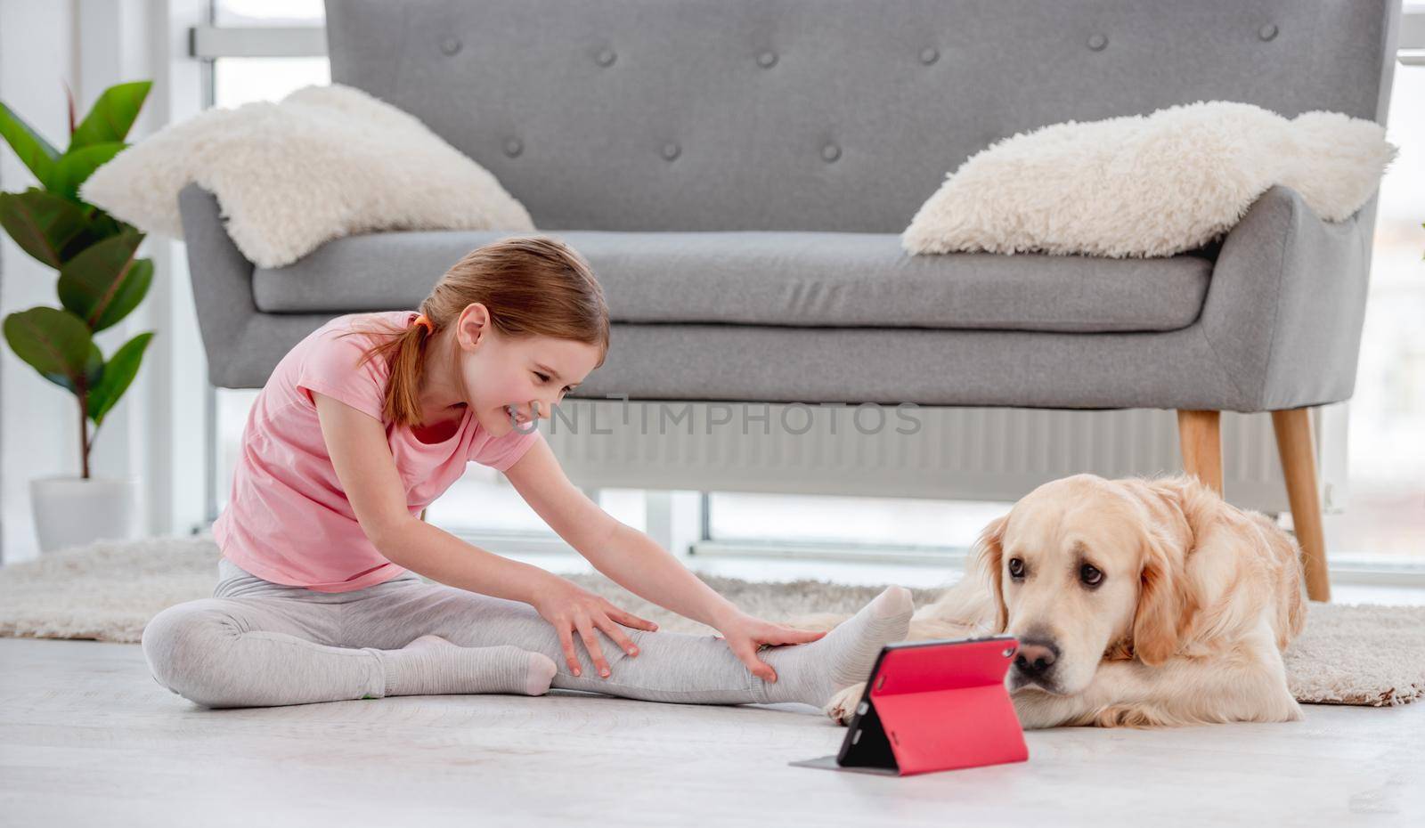 Little girl sitting on the floor with golden retriever dog and stretch her legs during online workout with tablet