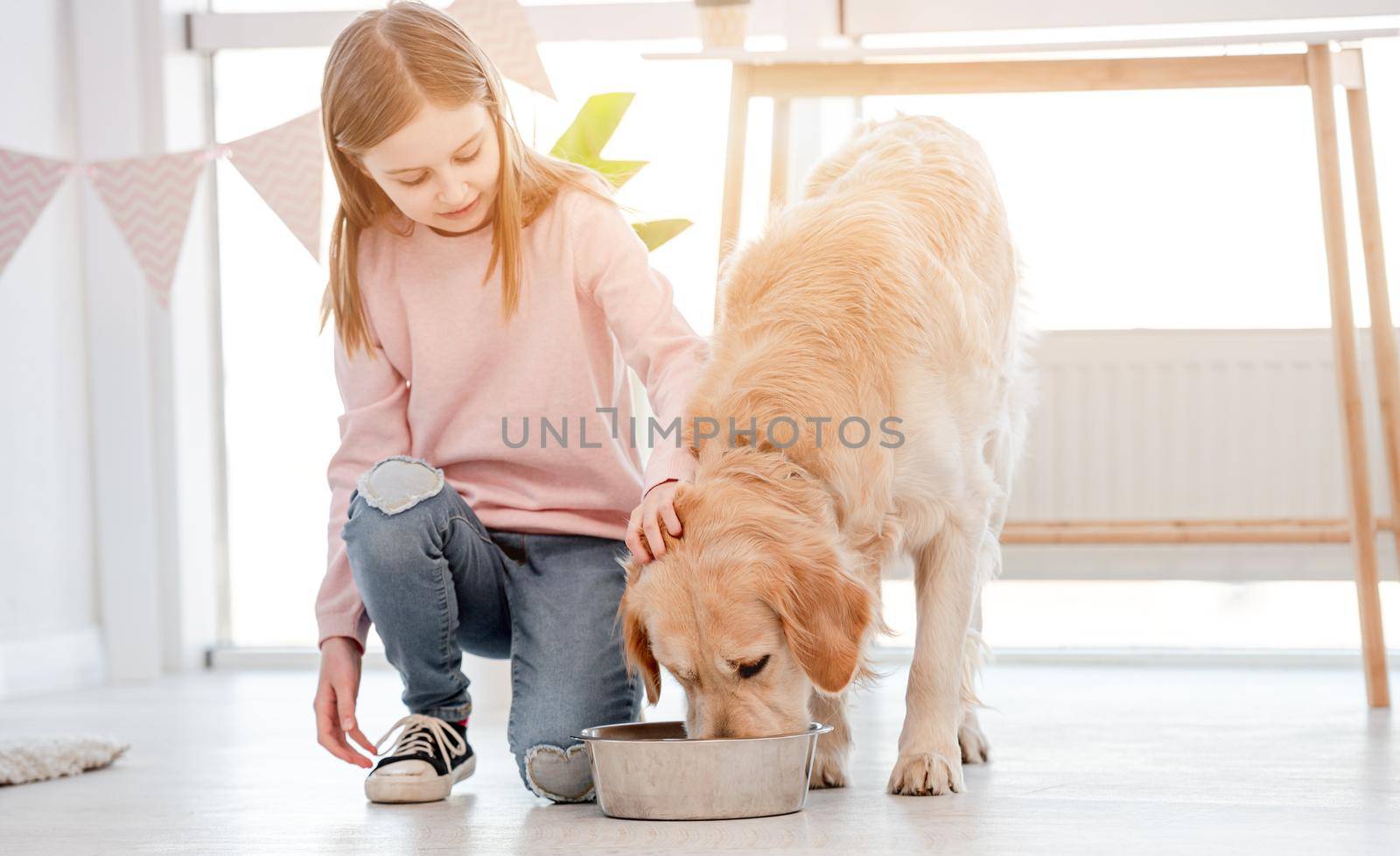 Little girl feeds golden retriever dog by tan4ikk1