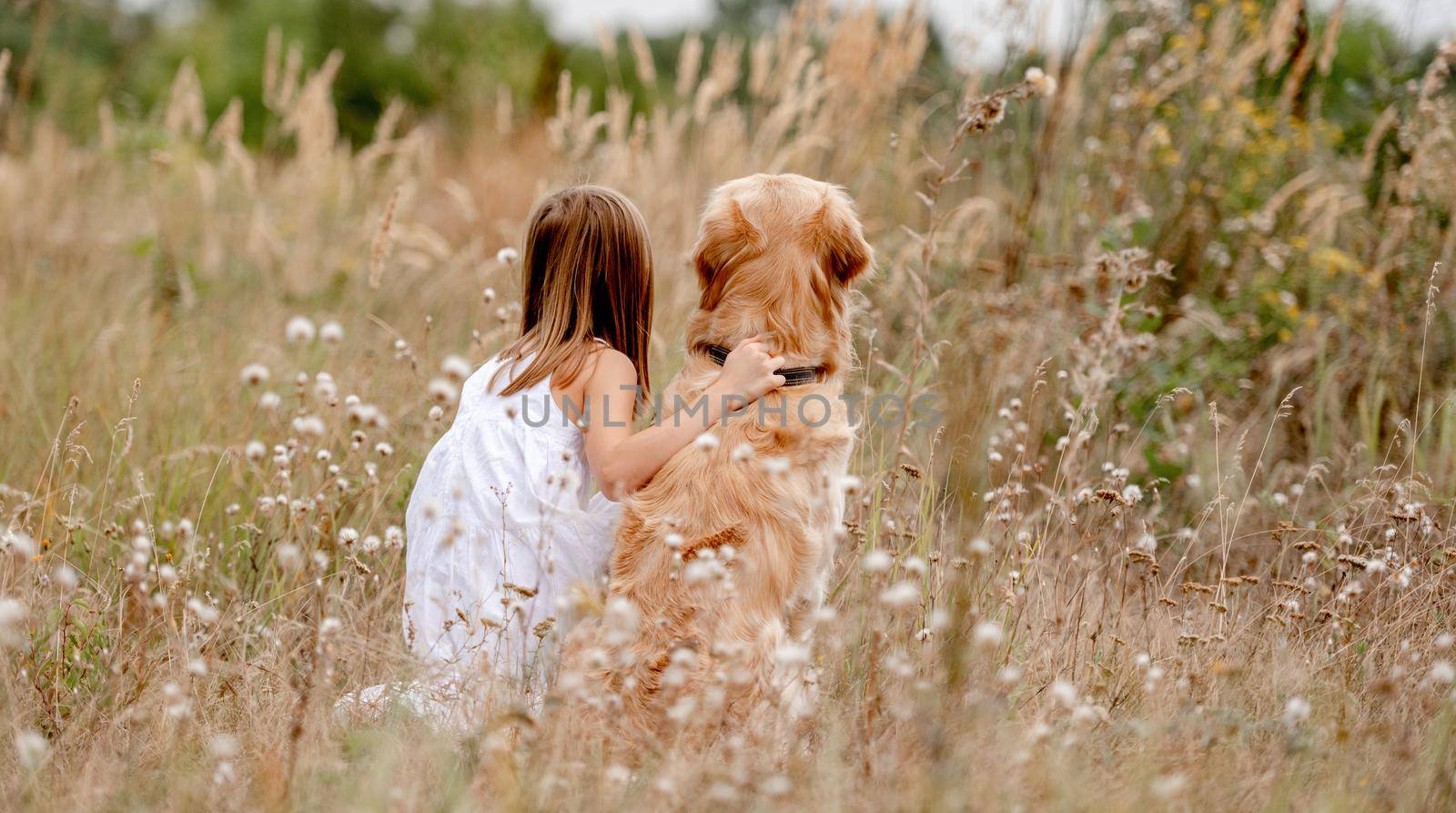 Little girl with golden retriever dog sitting in the field in summer day. Child with doggy pet portrait from back at nature