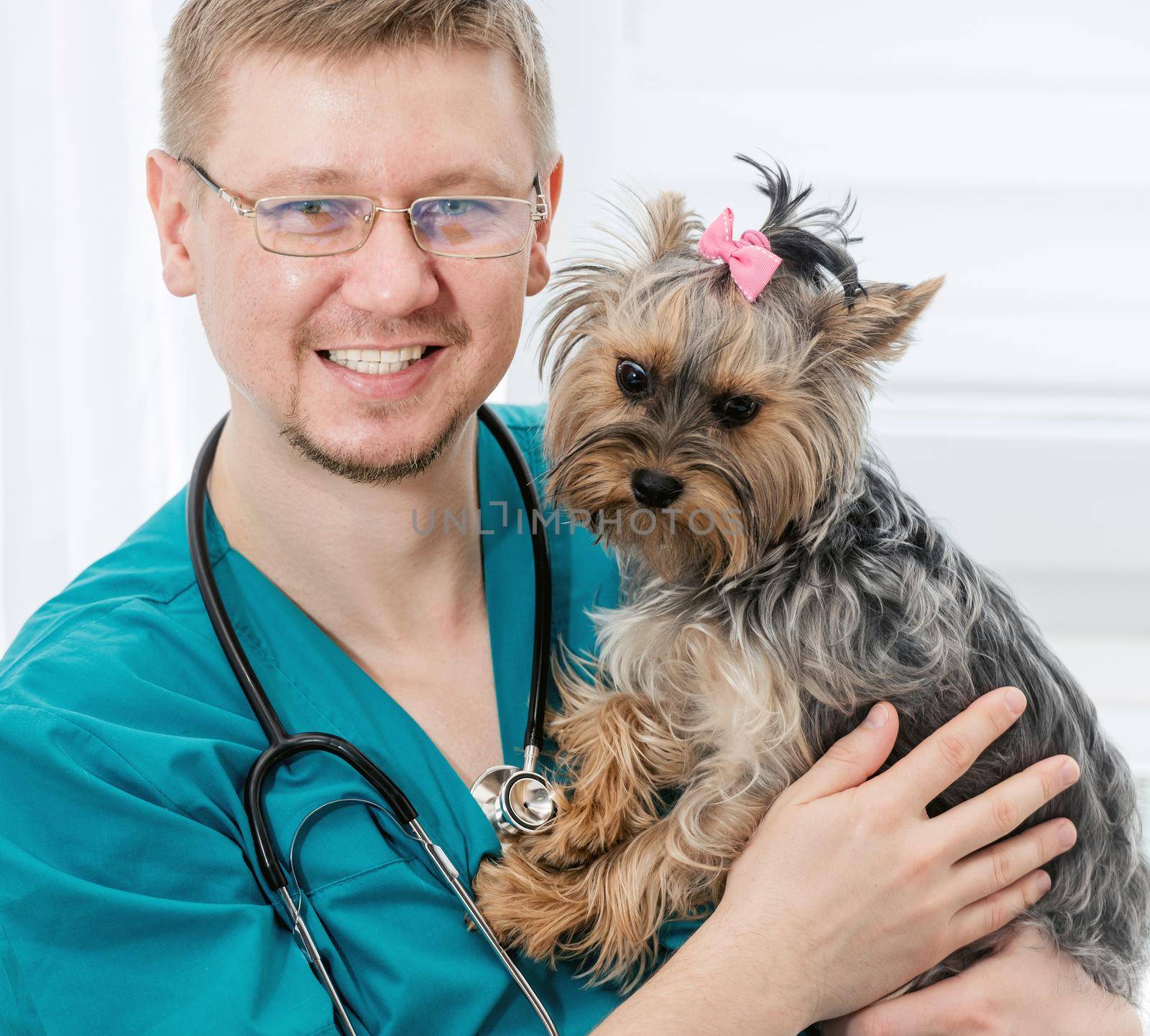 Portrait of smiling veterinarian in glasses holding Yorkshire Terrier dog on hands and looking at camera. Veterinary clinic