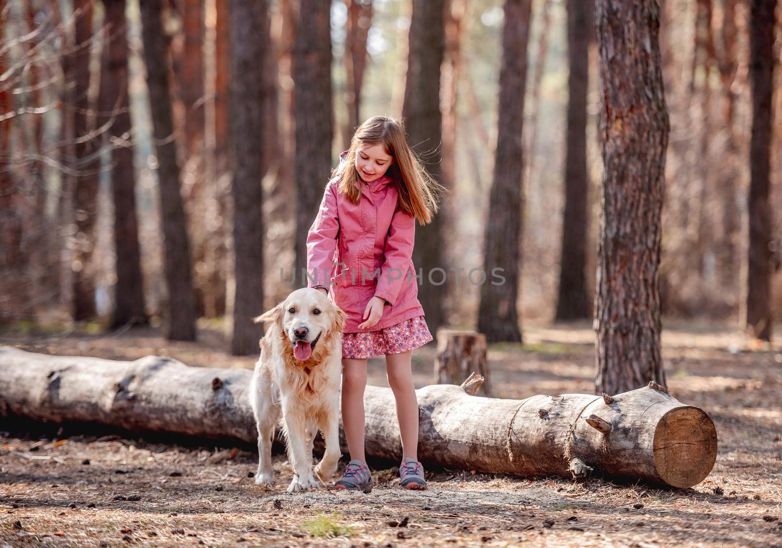 Little cute girl and golden retriever dog during spring walk in the wood