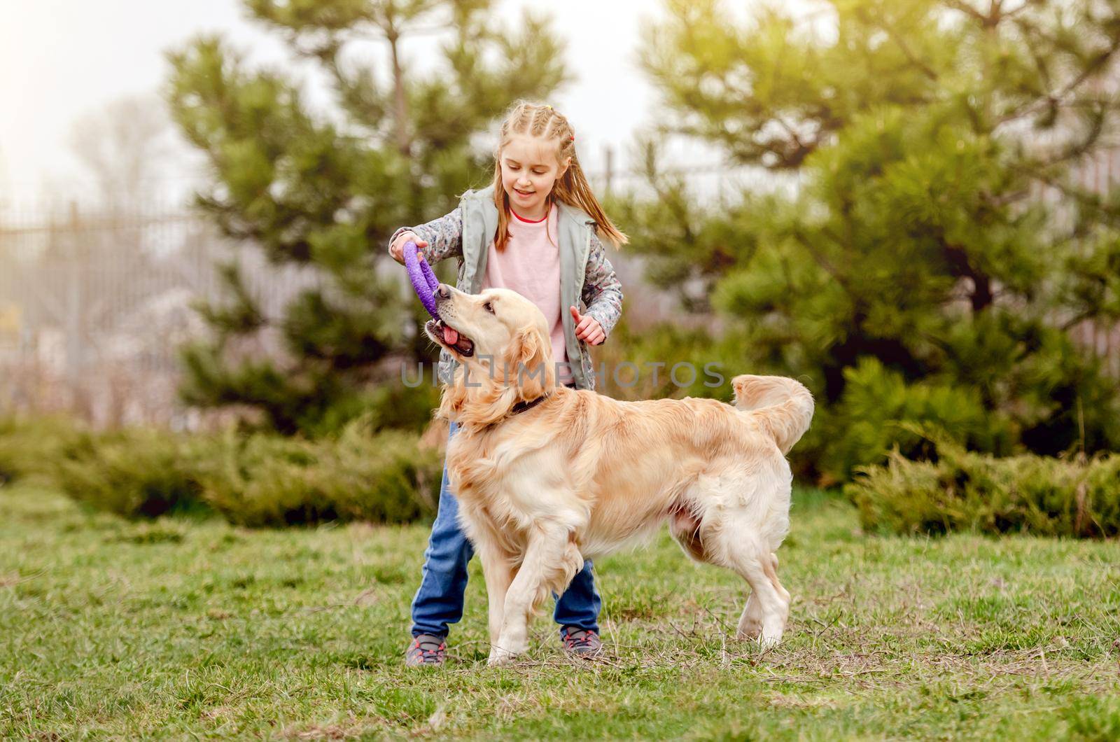 Little girl playing with golden retriever dog with toy ring on the nature