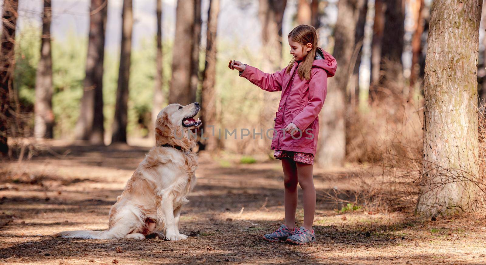 Little girl with golden retriever dog in the wood