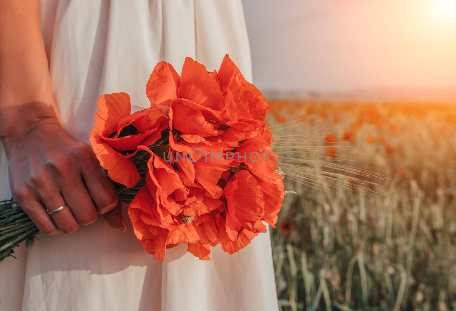 Bride in a white dress holding a bouquet of poppy flowers, warm sunset time on the background of the lavender field. Copy space. The concept of calmness, silence and unity with nature.