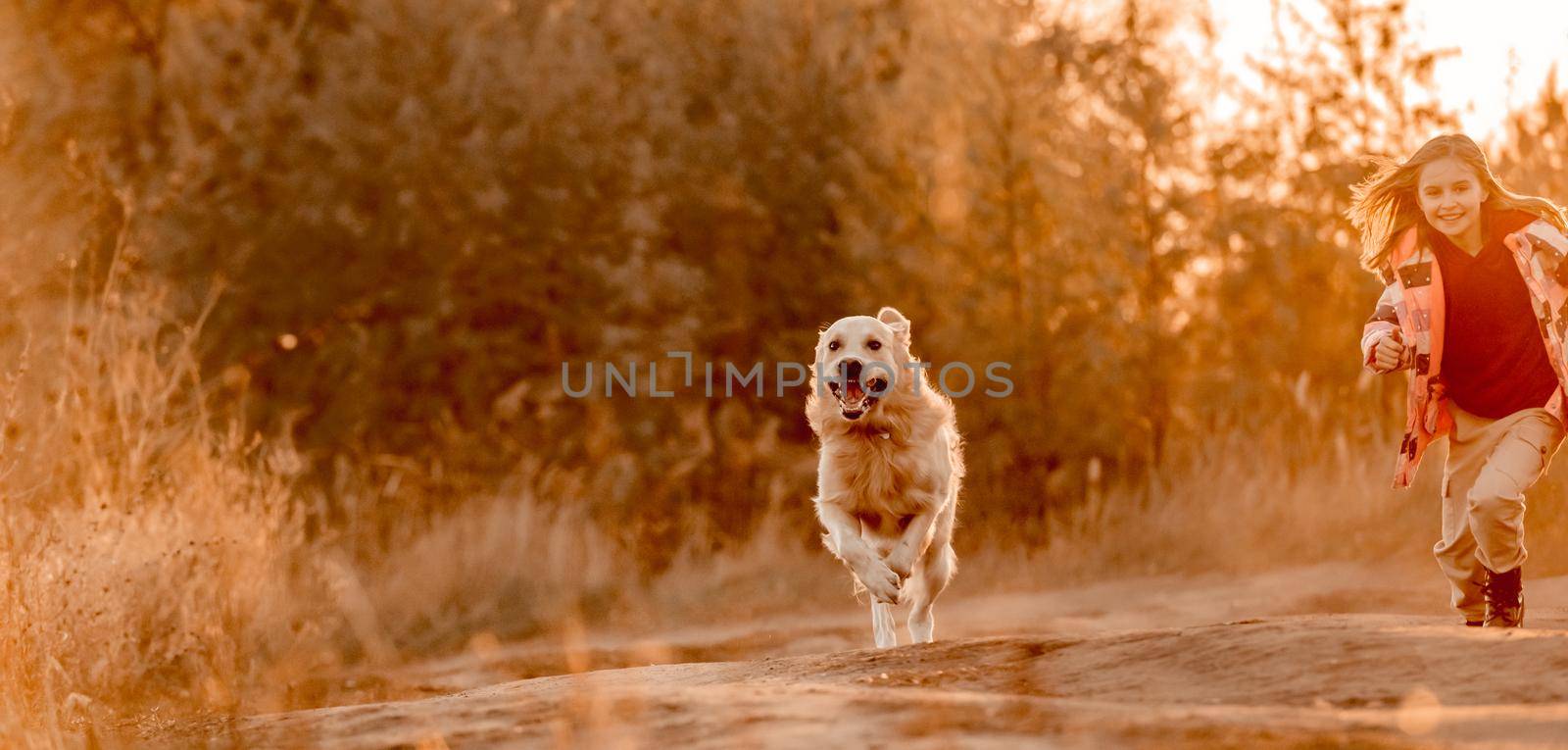 Little girl child with golden retriever dog running in sunset time outdoors. Kid with doggy pet labrador having fun at autumn nature together