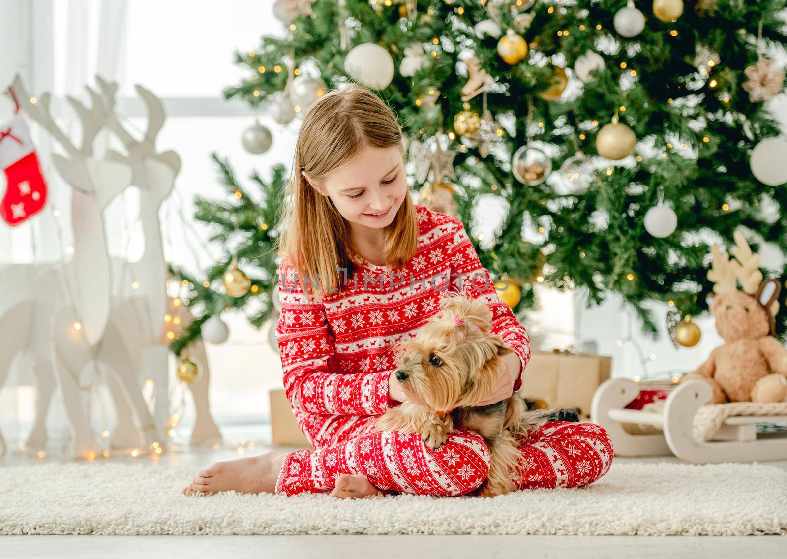 Child girl with dog sitting on floor with Christmas tree on background and petting doggy. Kid and pet enjoying New Year time and decoration at home