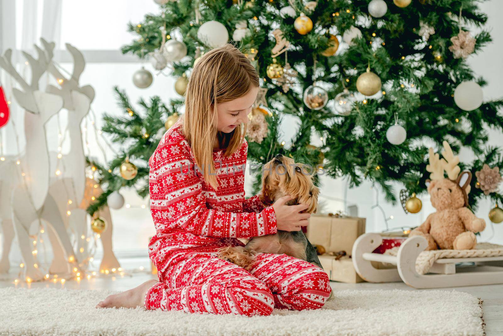 Child girl with dog sitting on floor with Christmas tree on background and petting doggy. Kid and pet enjoying New Year time and decoration at home