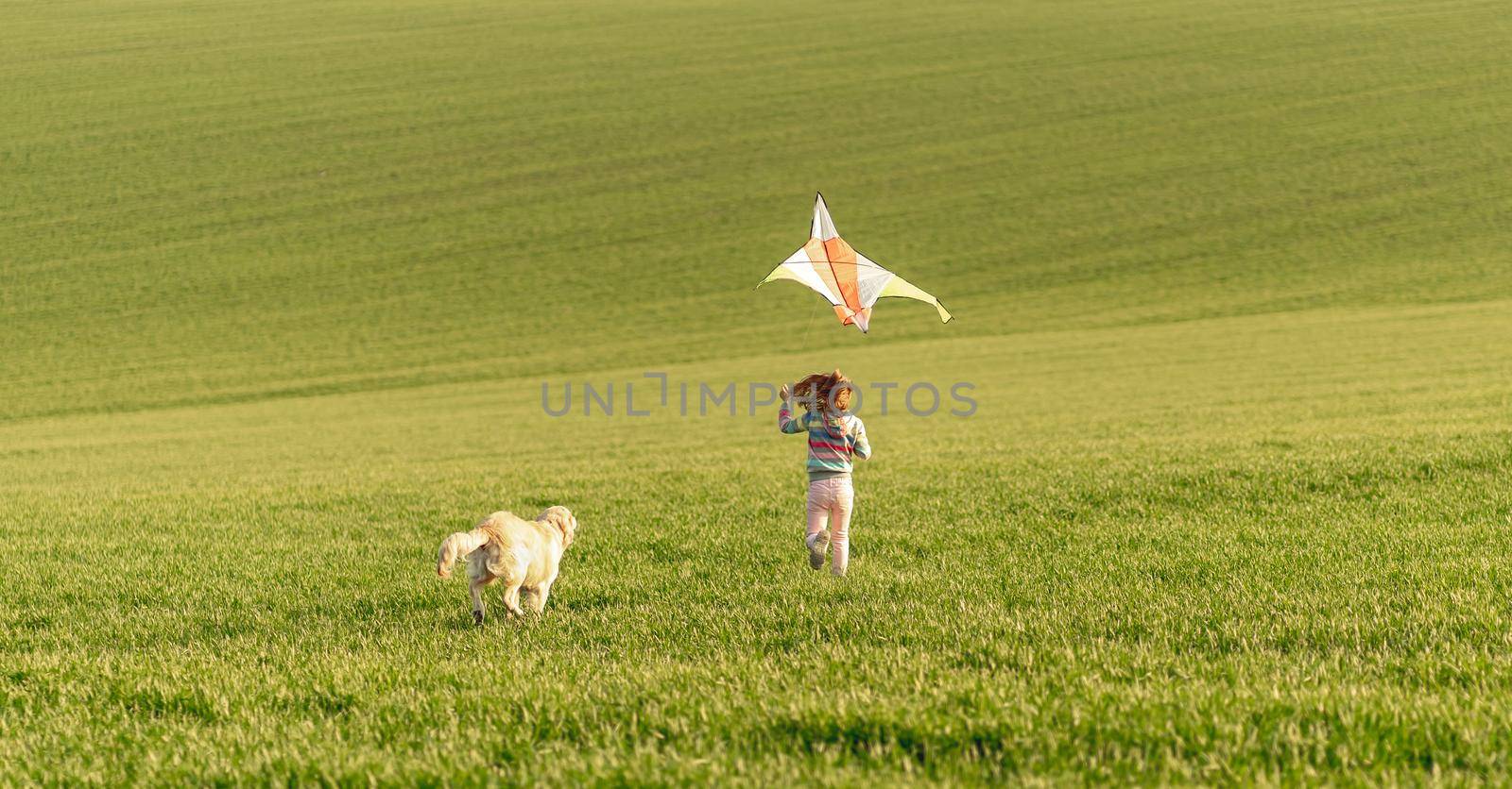 Happy little girl running with kite on green field