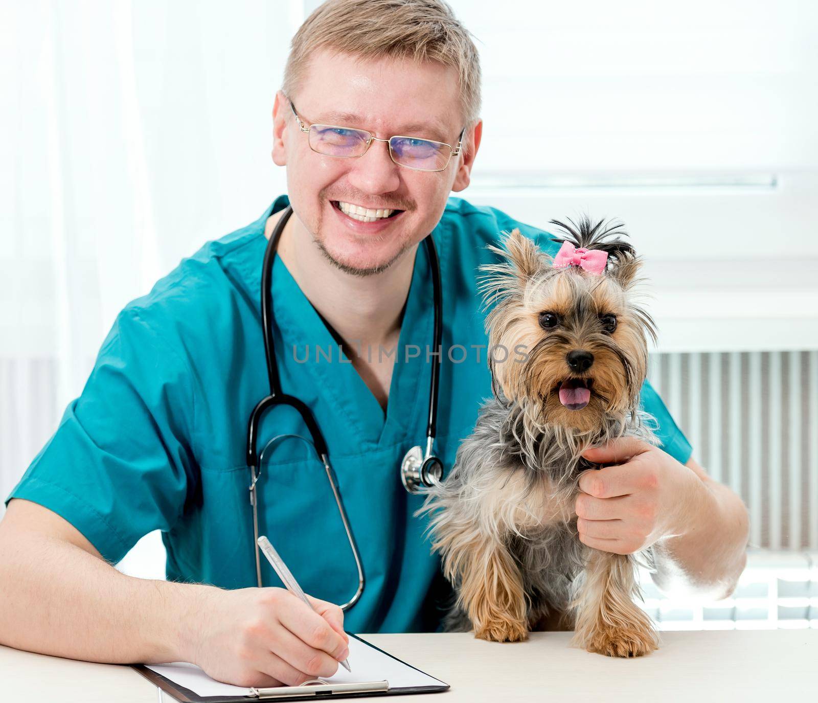 Portrait of smiling veterinarian in glasses holding Yorkshire Terrier dog on hands and looking at camera. Veterinary clinic