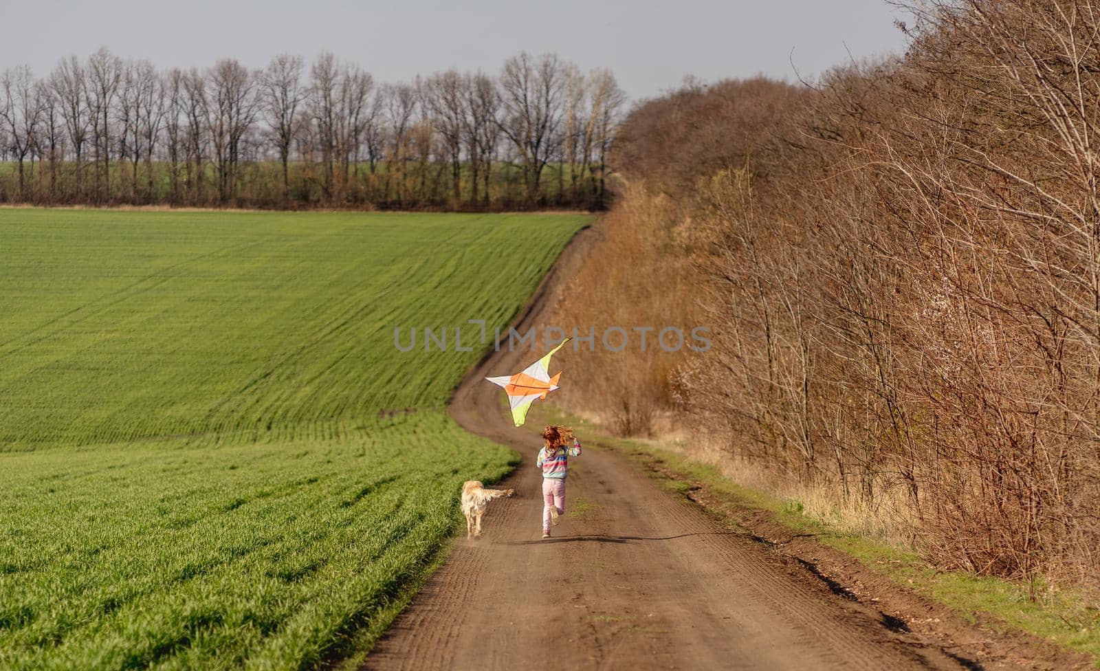 Beautiful girl with dog flying kite near green field