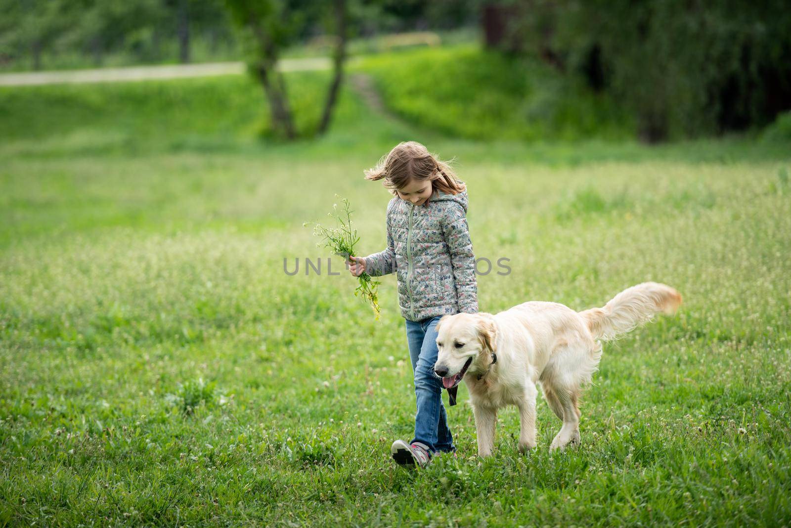 Cute little girl with flowers walking dog by tan4ikk1