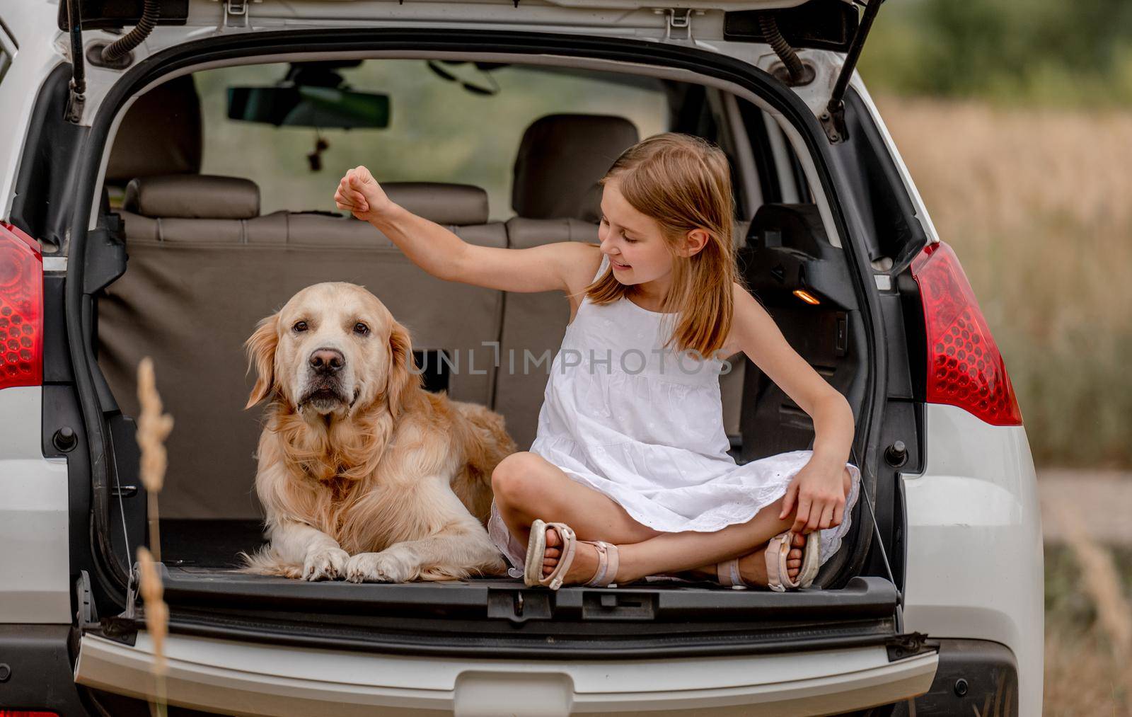 Little girl with golden retriever dog in car trunk. Cute child kid resting with doggy pet in vehicle