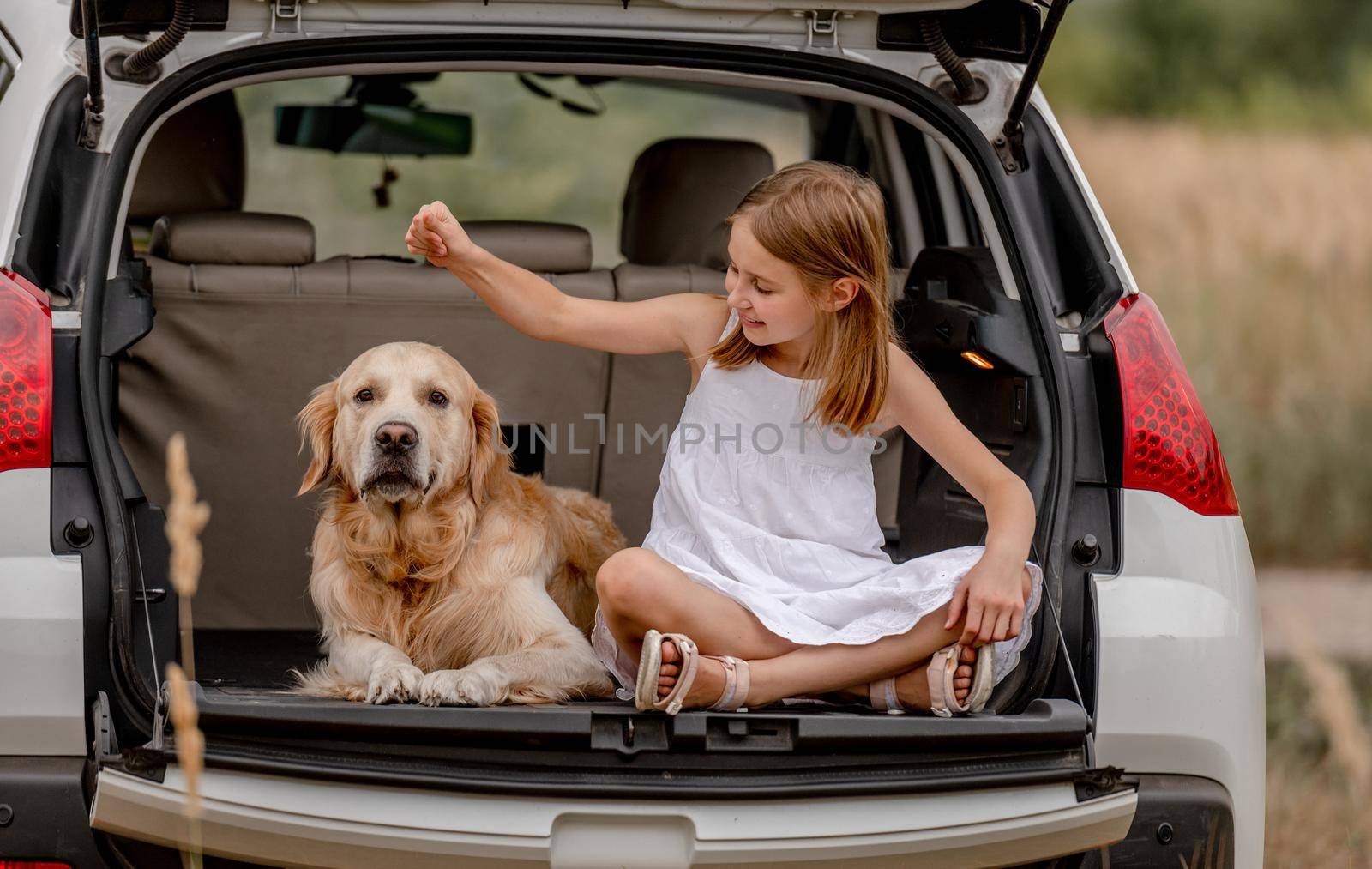 Preteen girl with golden retriever dog in car trunk by tan4ikk1