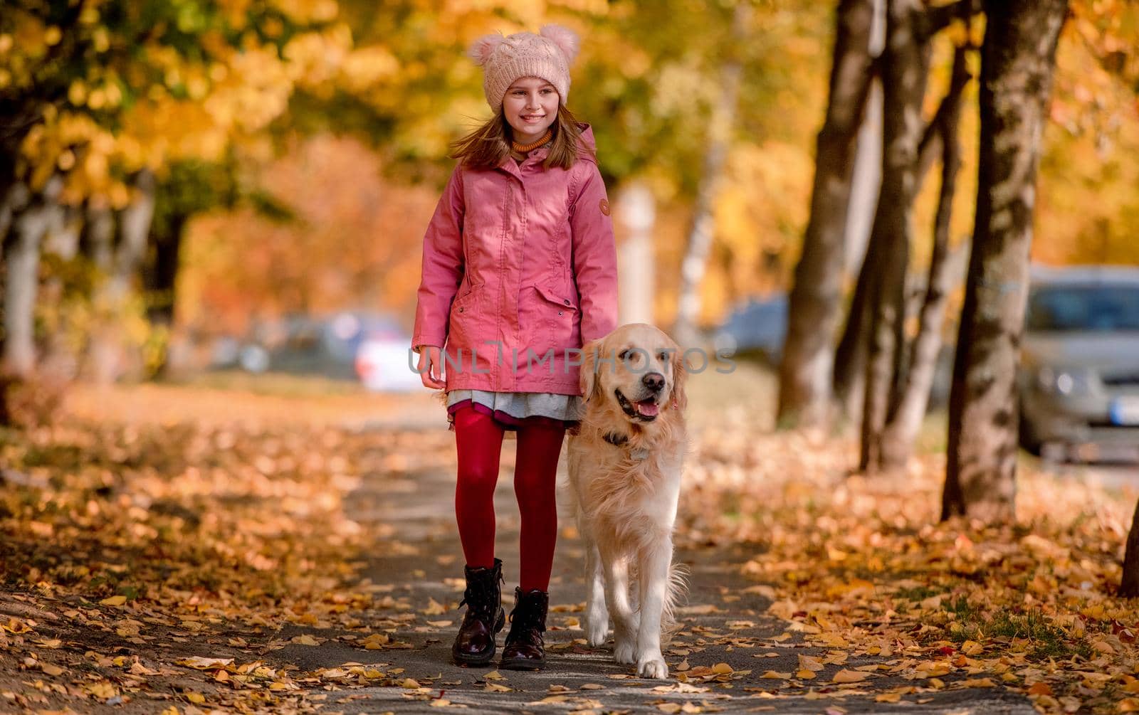 Preteen kid and golden retriever dog by tan4ikk1