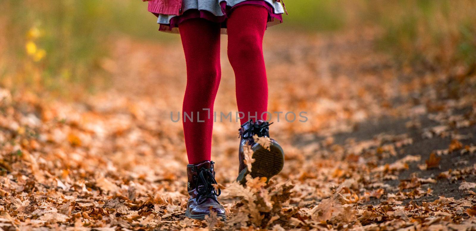 Preteen girl kid walking at autumn park in red tights. Closeup portrait of child legs and yellow leaves on ground