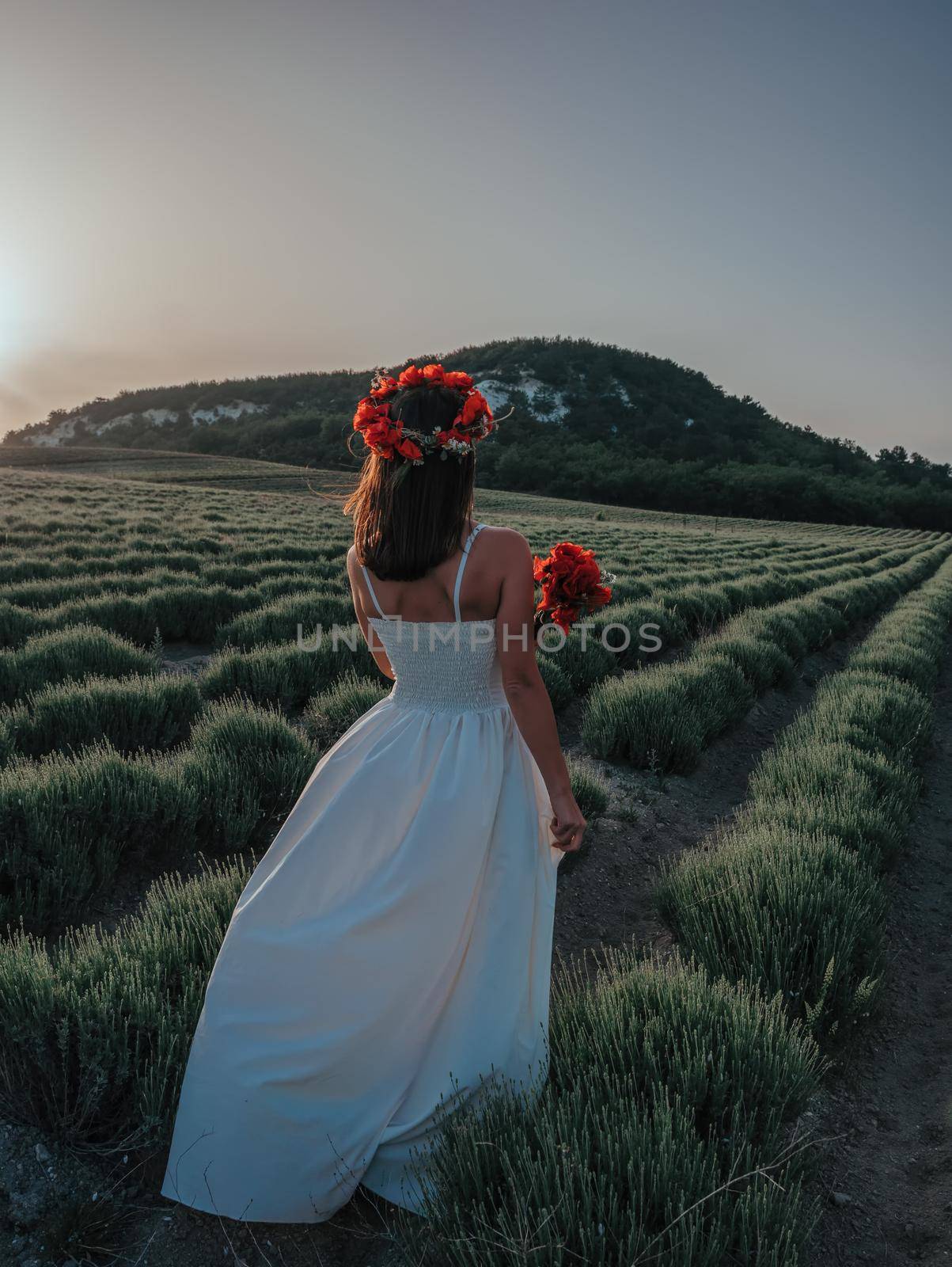 Bride in a white dress holding a bouquet of poppy flowers, warm sunset time on the background of the lavender field. Copy space. The concept of calmness, silence and unity with nature. by panophotograph