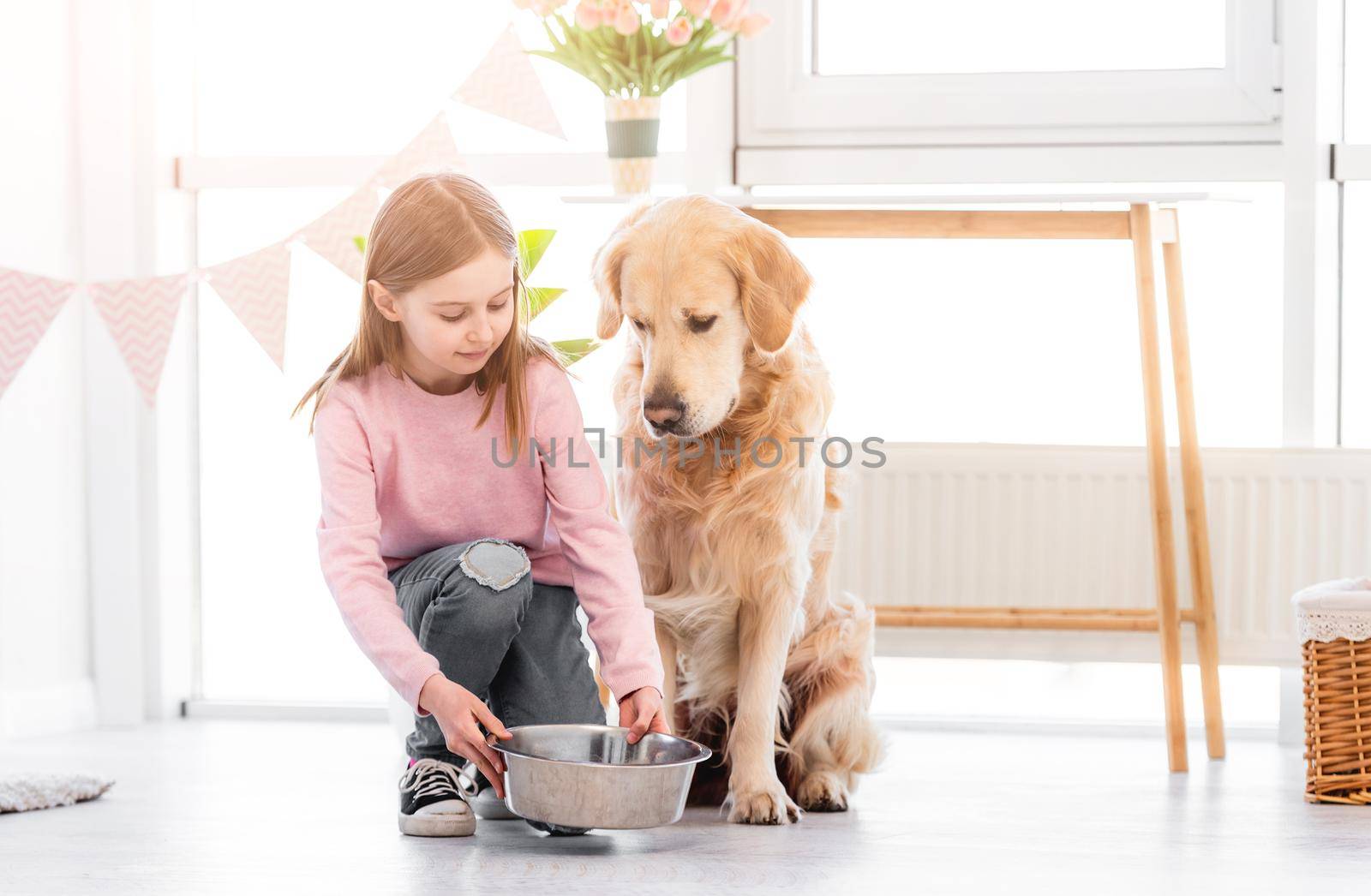 Little girl feeds golden retriever dog by tan4ikk1