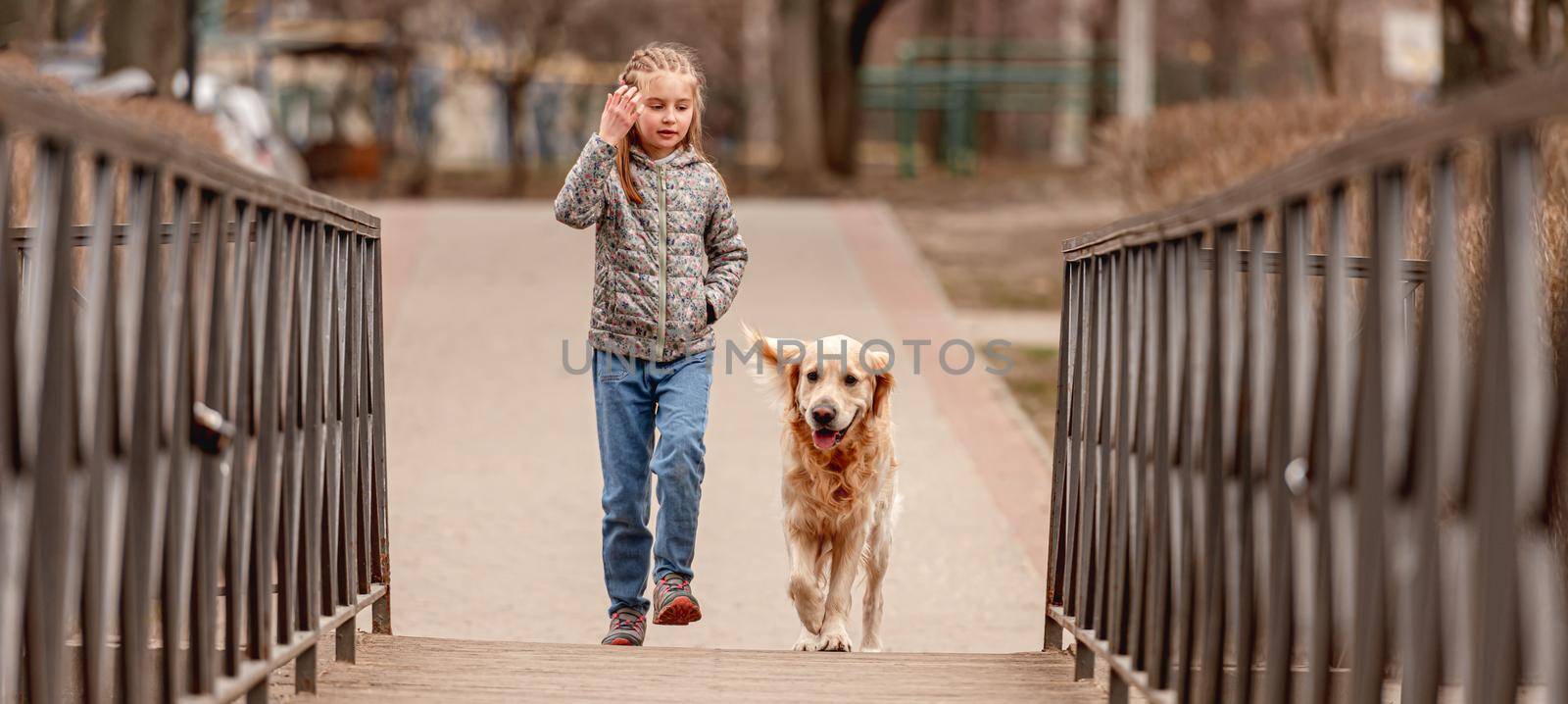 Preteen girl walking with golden retriever dog on the bridge in spring time