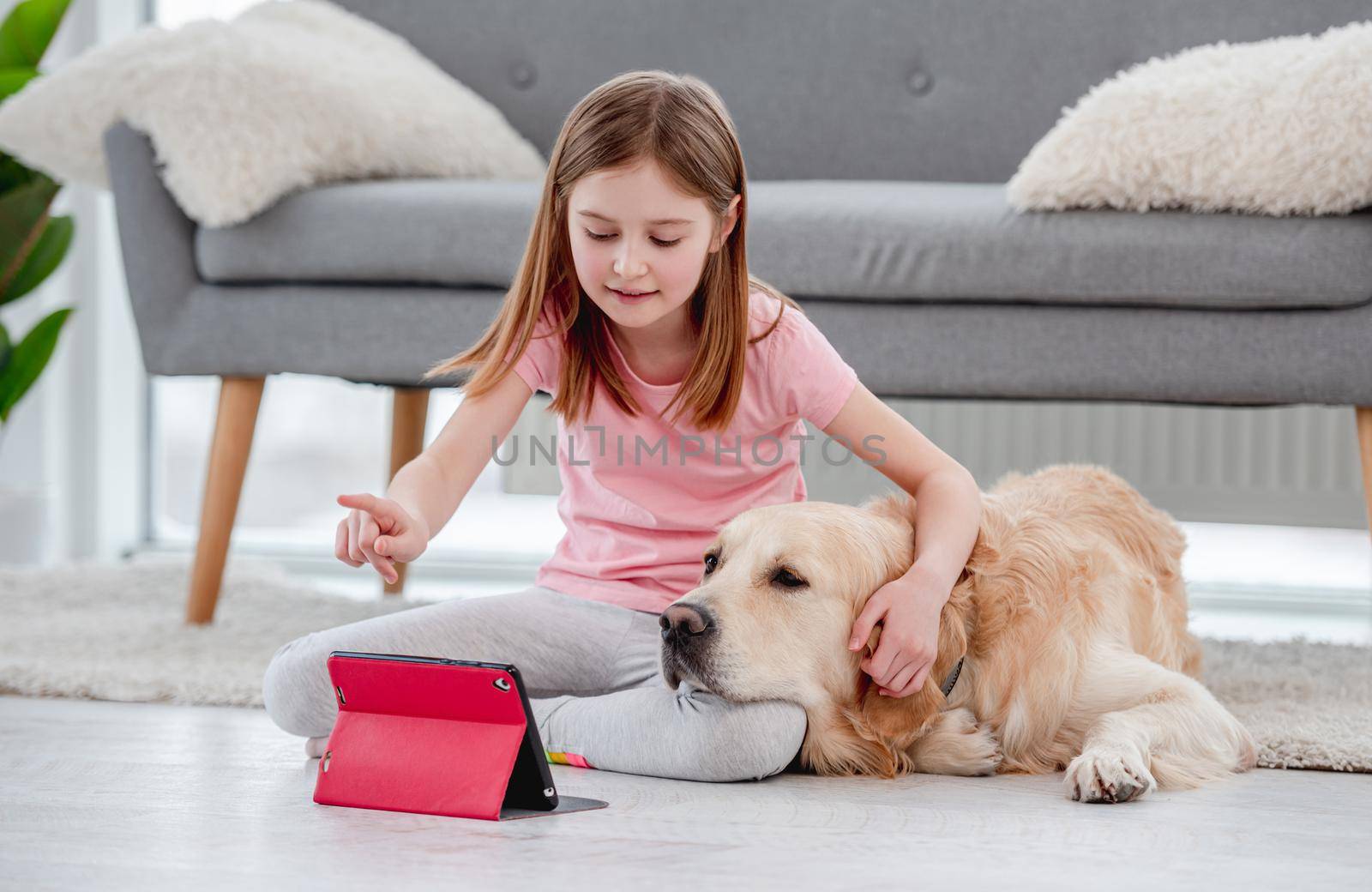 Cute girl hugging golden retriever dog and talking online with family friends on tablet