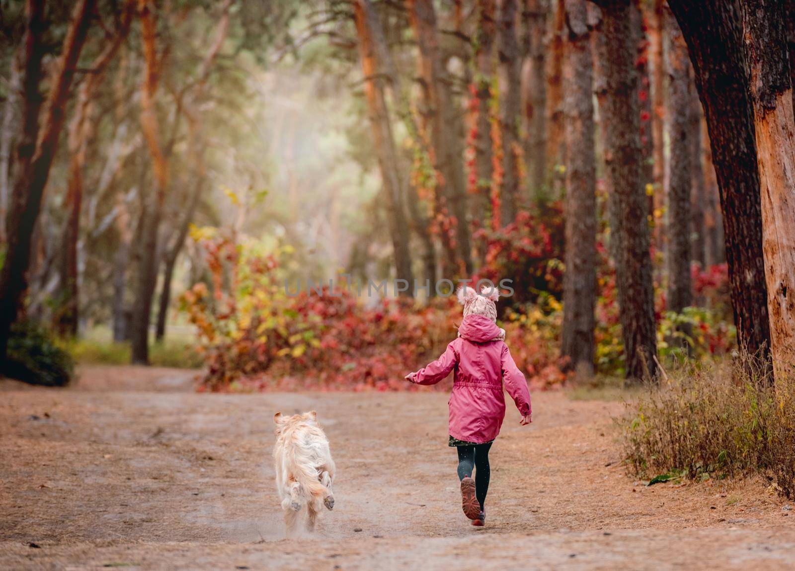 Little girl with golden retriever dog running away into colorful autumn forest