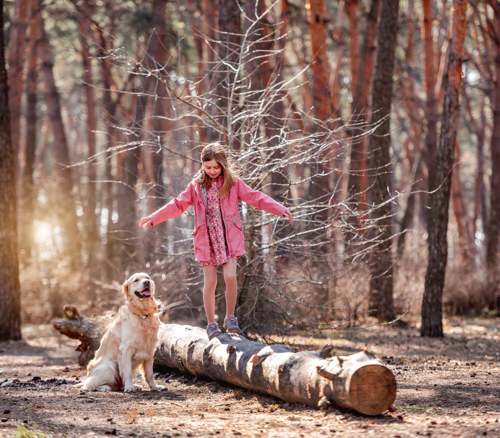 Little girl with golden retriever dog in the wood by tan4ikk1