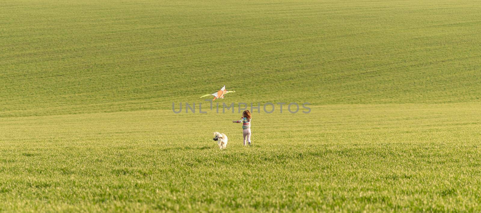 Happy little girl running with kite on green field