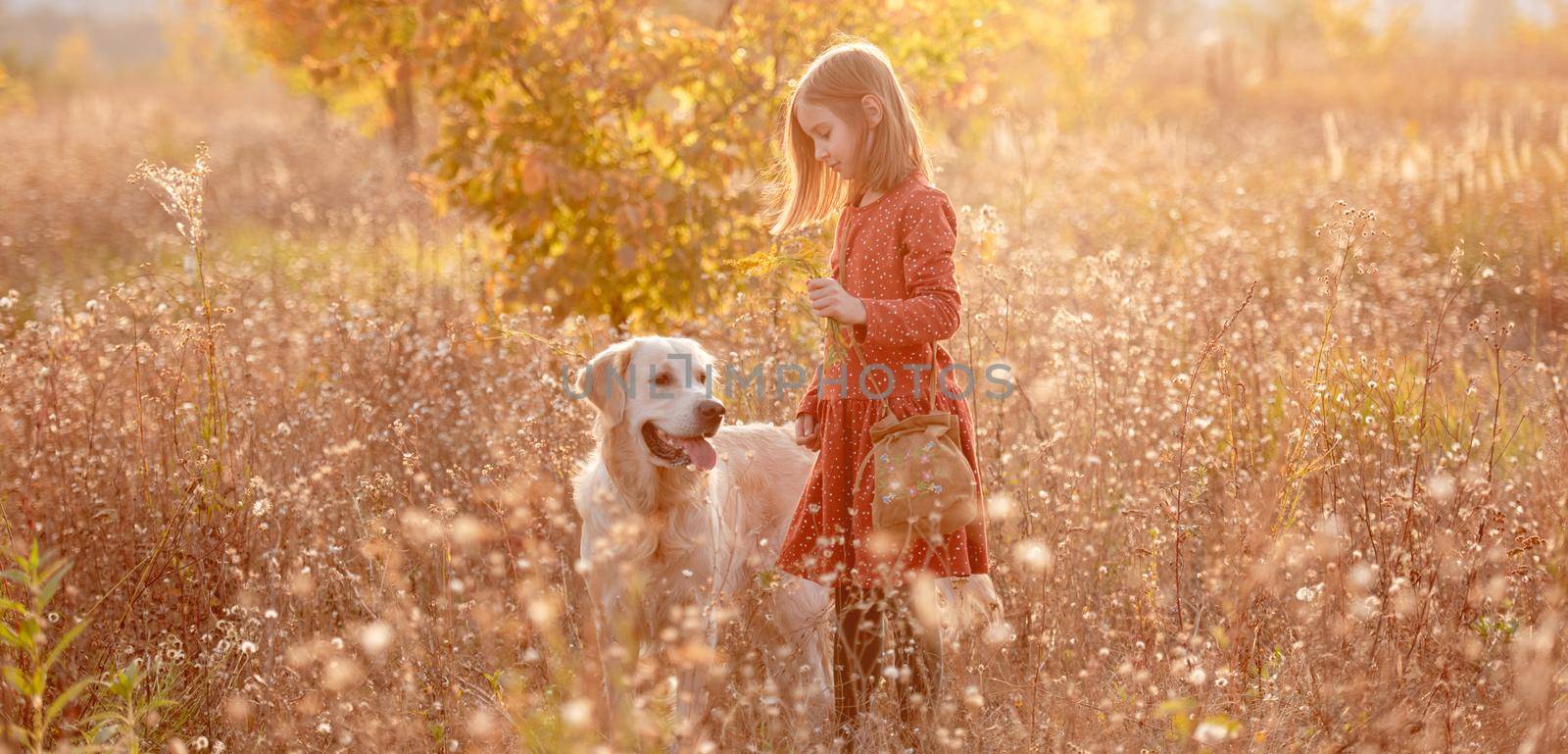 Little girl walking with golden retriever dog in autumn nature