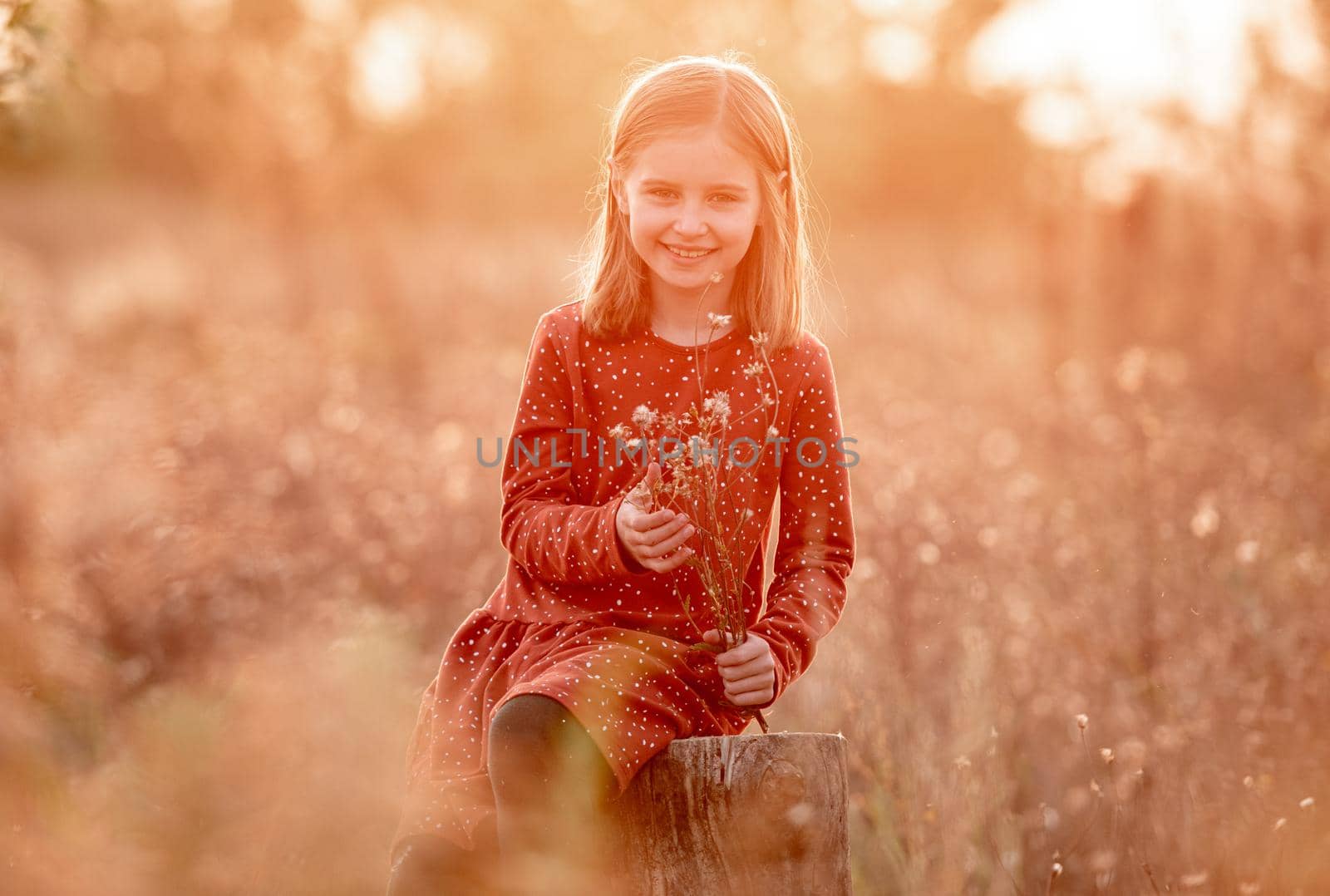 Smiling little girl sitting on tree stump with autumn flowers outdoors among sunny field