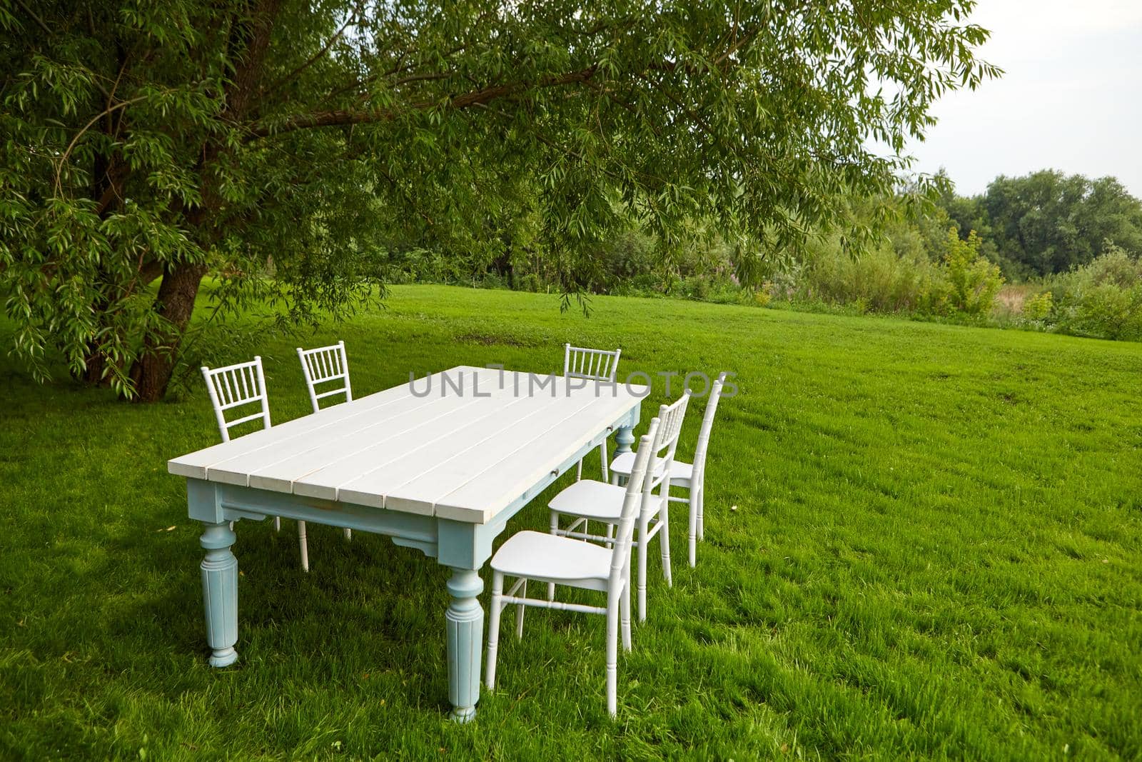 White table with chairs located on green grass under lush tree on summer day in field