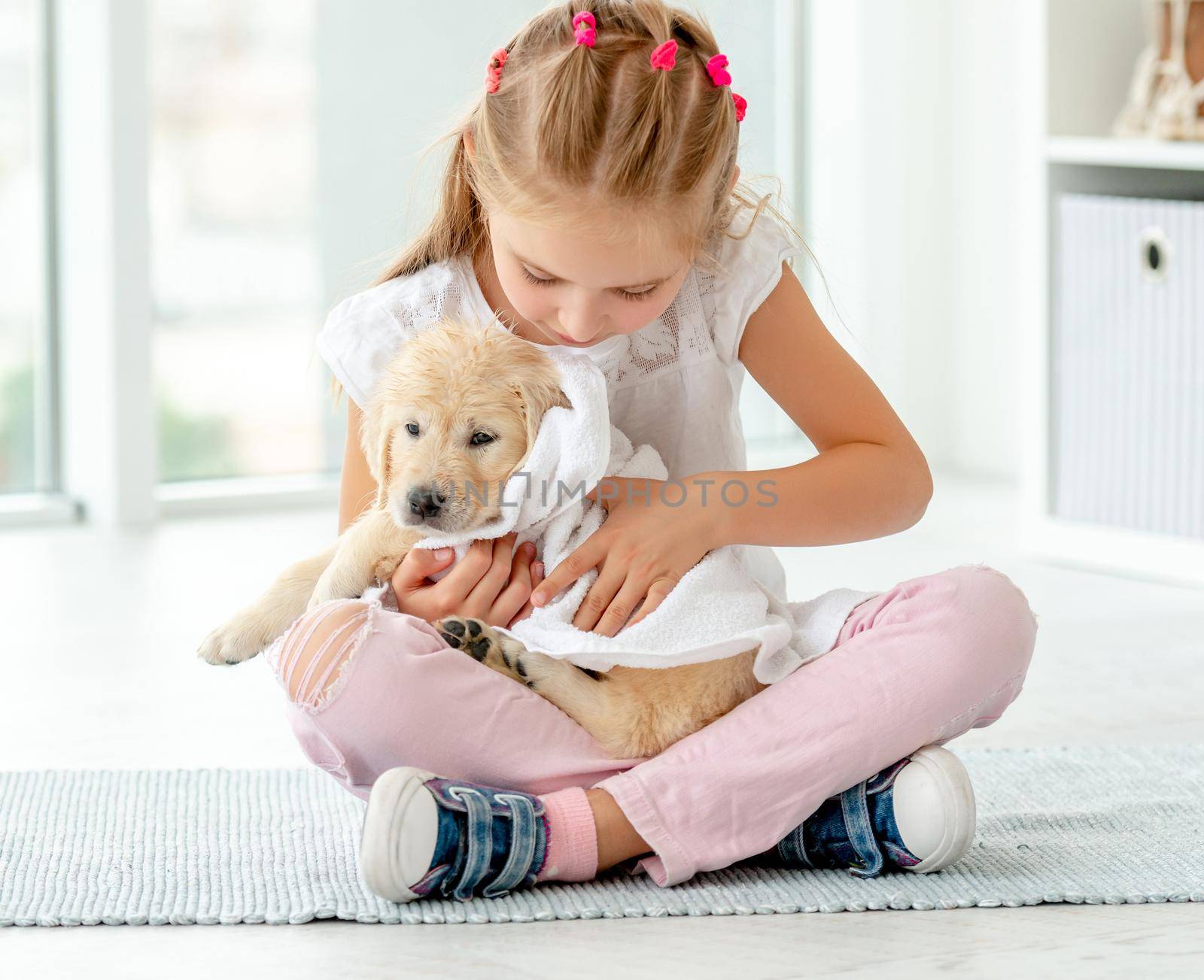 Little girl taking care about retriever puppy