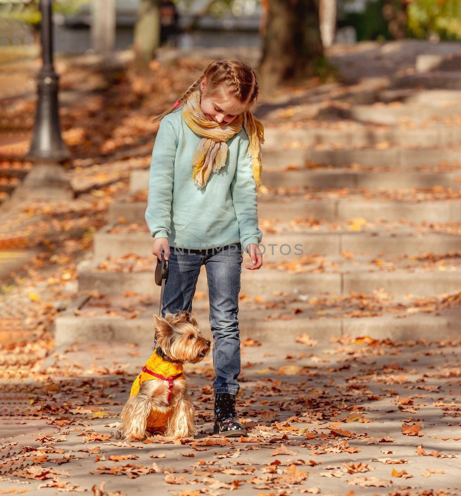 Cute little girl with yorkshire terrier in autumn park