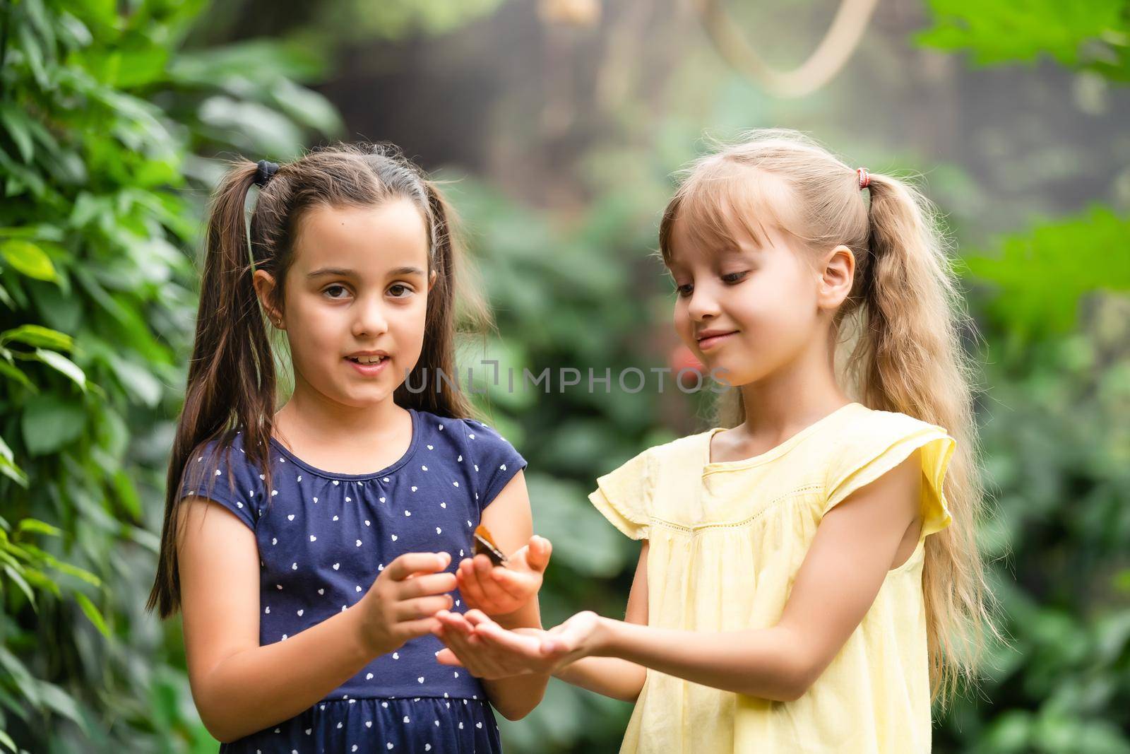 Two little sisters holding a butterfly in their hands. Children exploring nature. Family leisure with kids at summer.