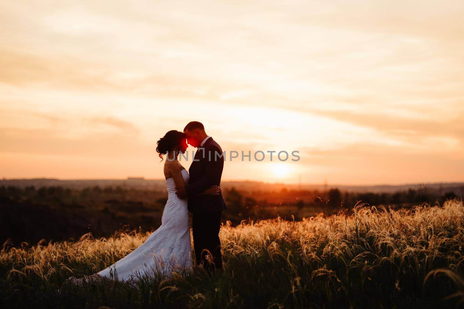 A couple in love a guy and a girl on a walk in the forest belt