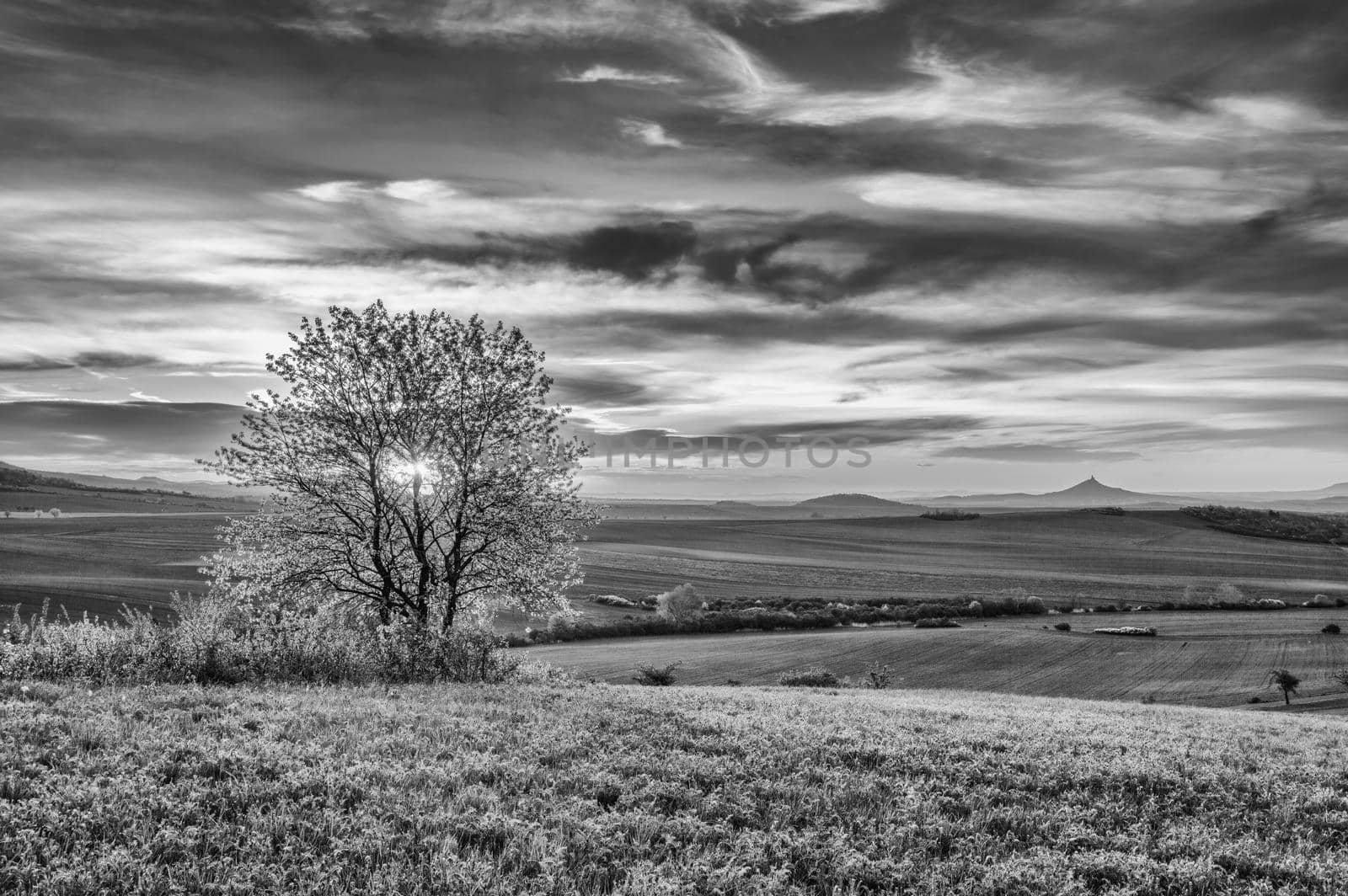 On the Grass Hillsides in Central Bohemian Uplands, Czech Republic.Black and White Photography.
