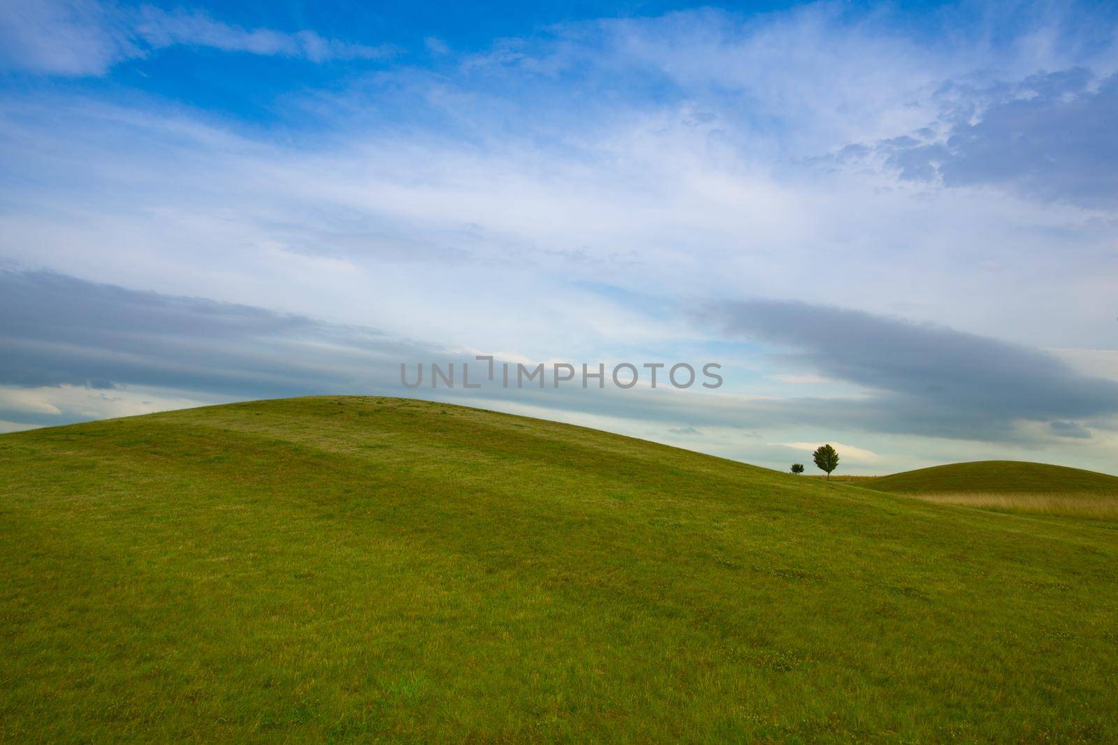 Golf course with blue sky background. by CaptureLight
