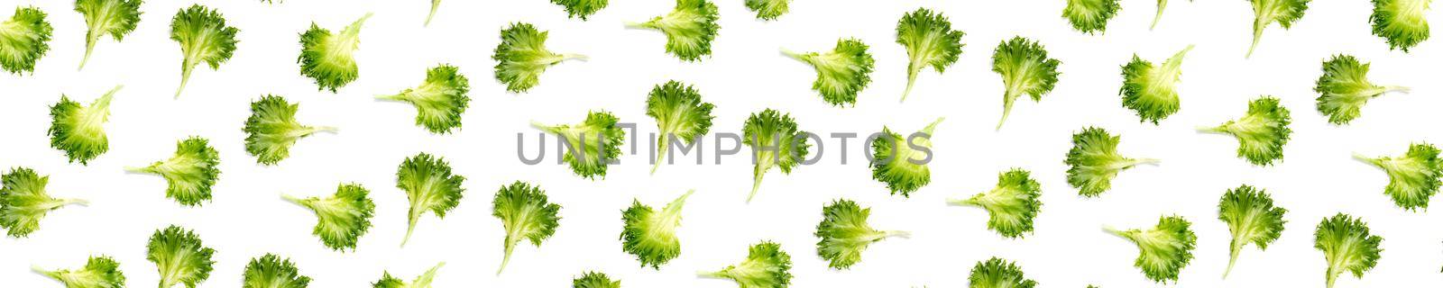 pop art background from lettuce green leaves salad. frillice salad isolated on white. iceberg salad leaf close up, modern background, flat lay. lettuce green leaf not seamless pattern