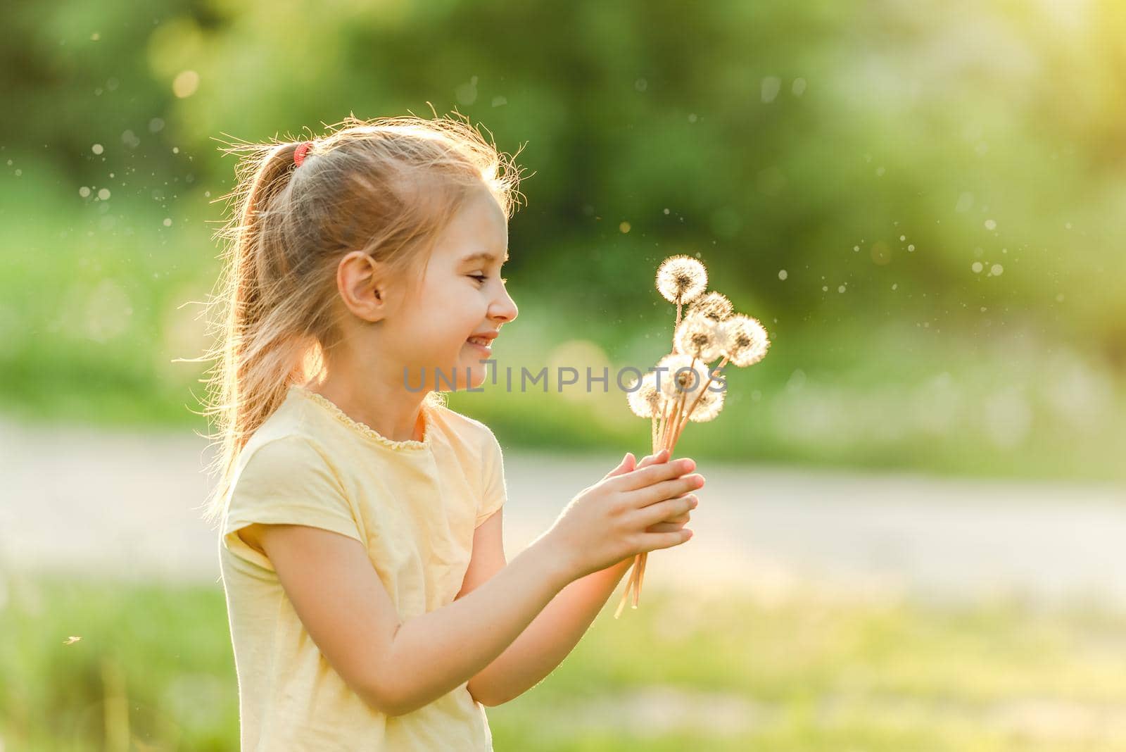 Cute little girl in sunny summer day at green meadow collecting white flowers