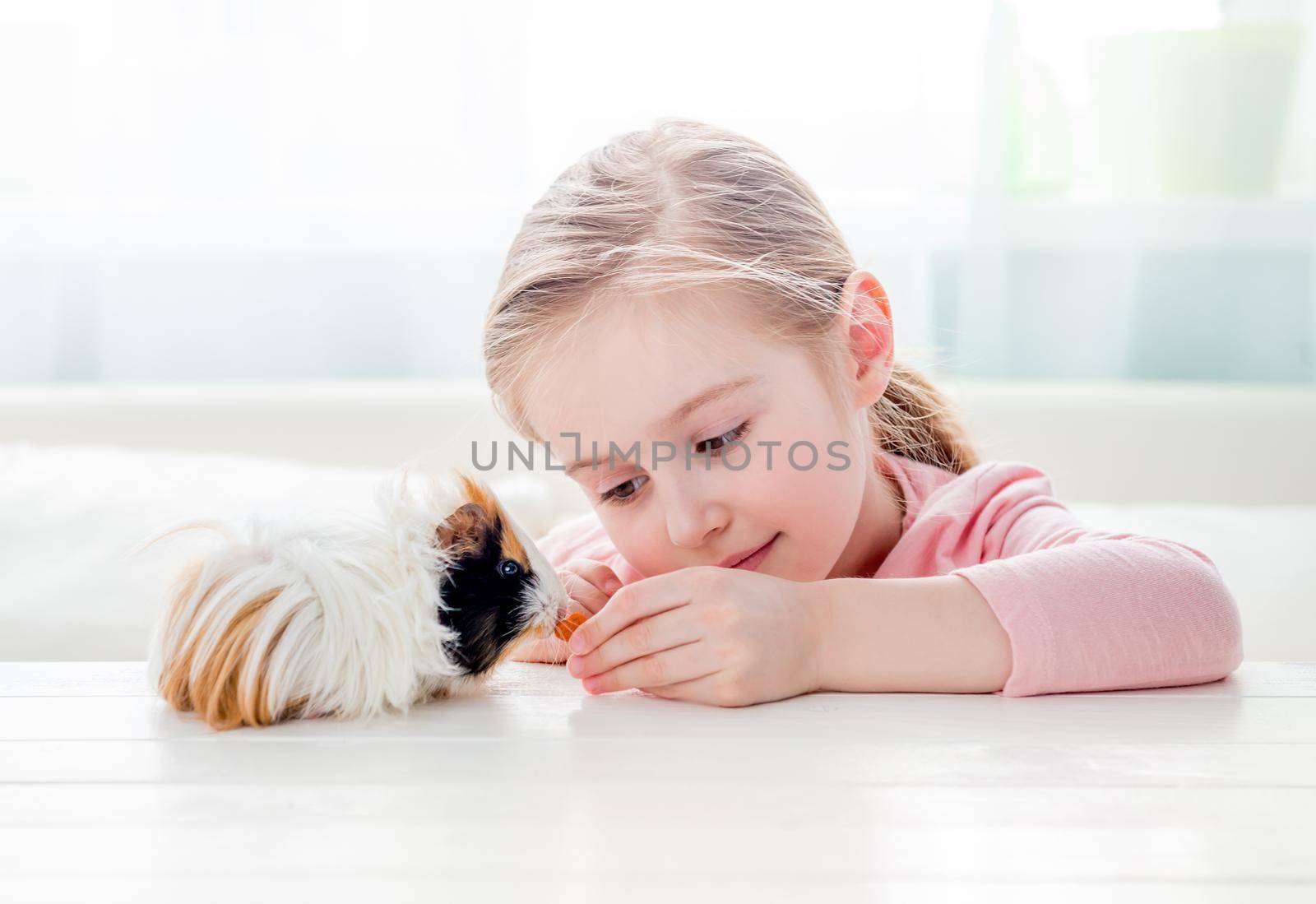 Little girl feeding her guinea pig by tan4ikk1
